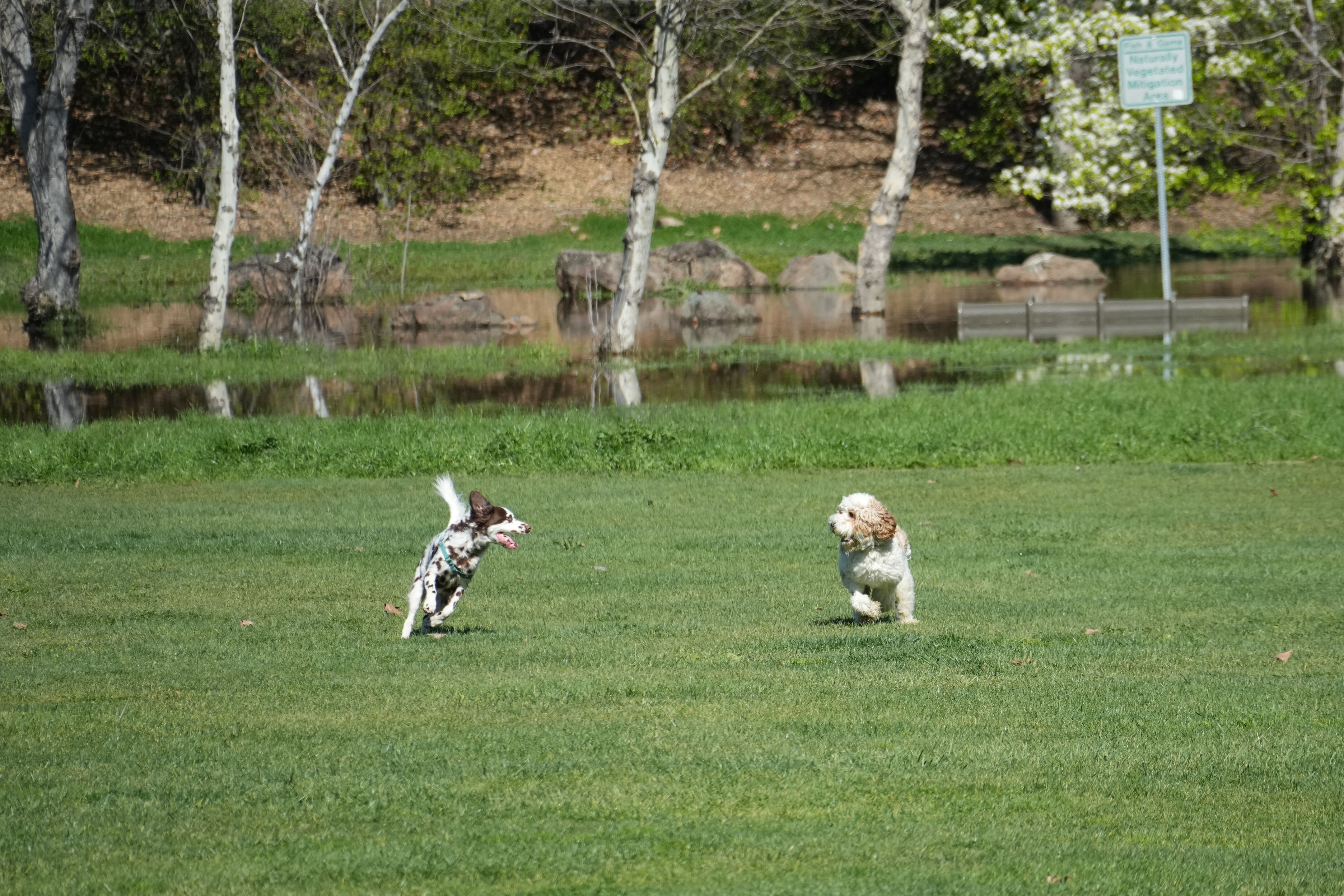 Marsh Creek Regional Trail