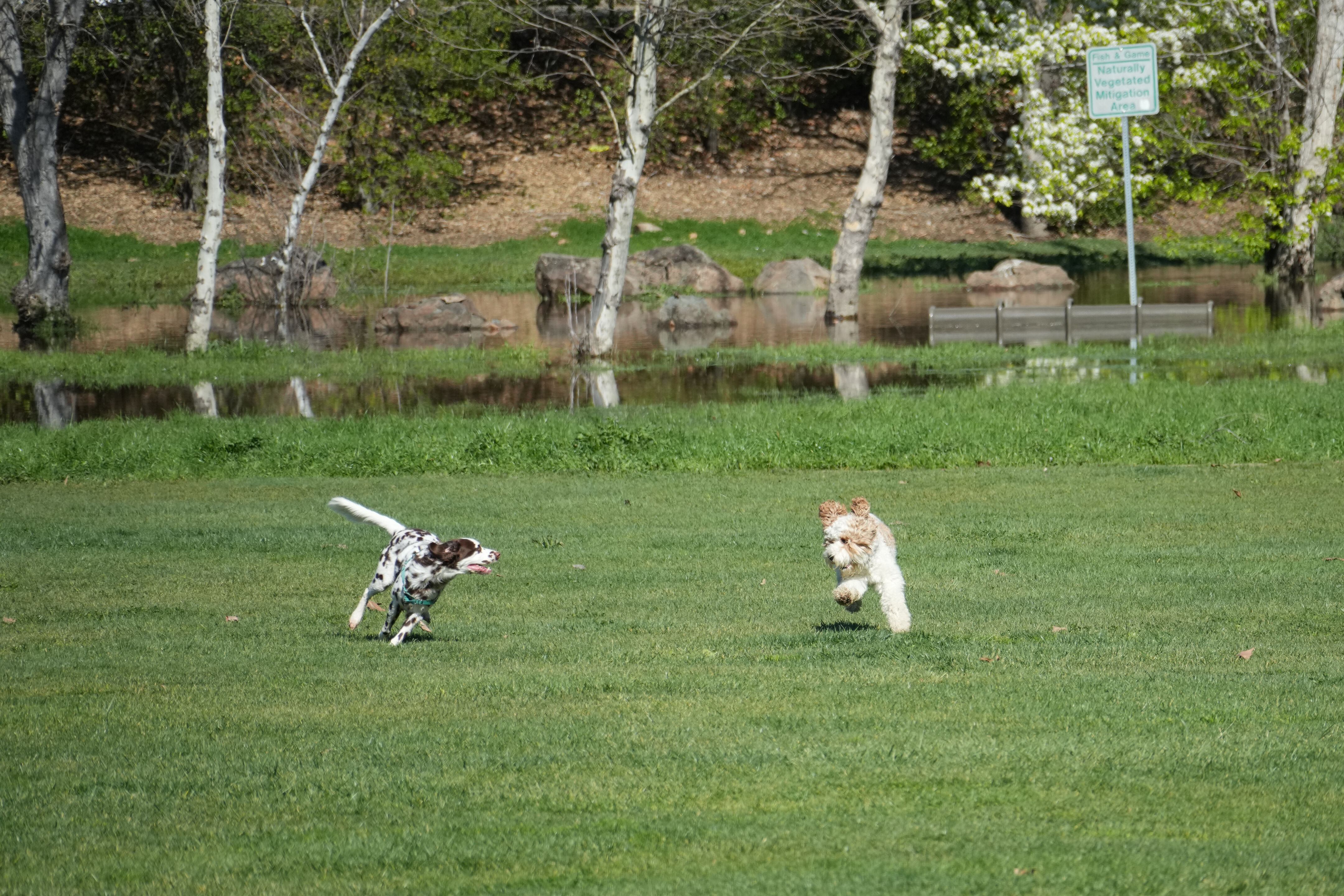 Marsh Creek Regional Trail