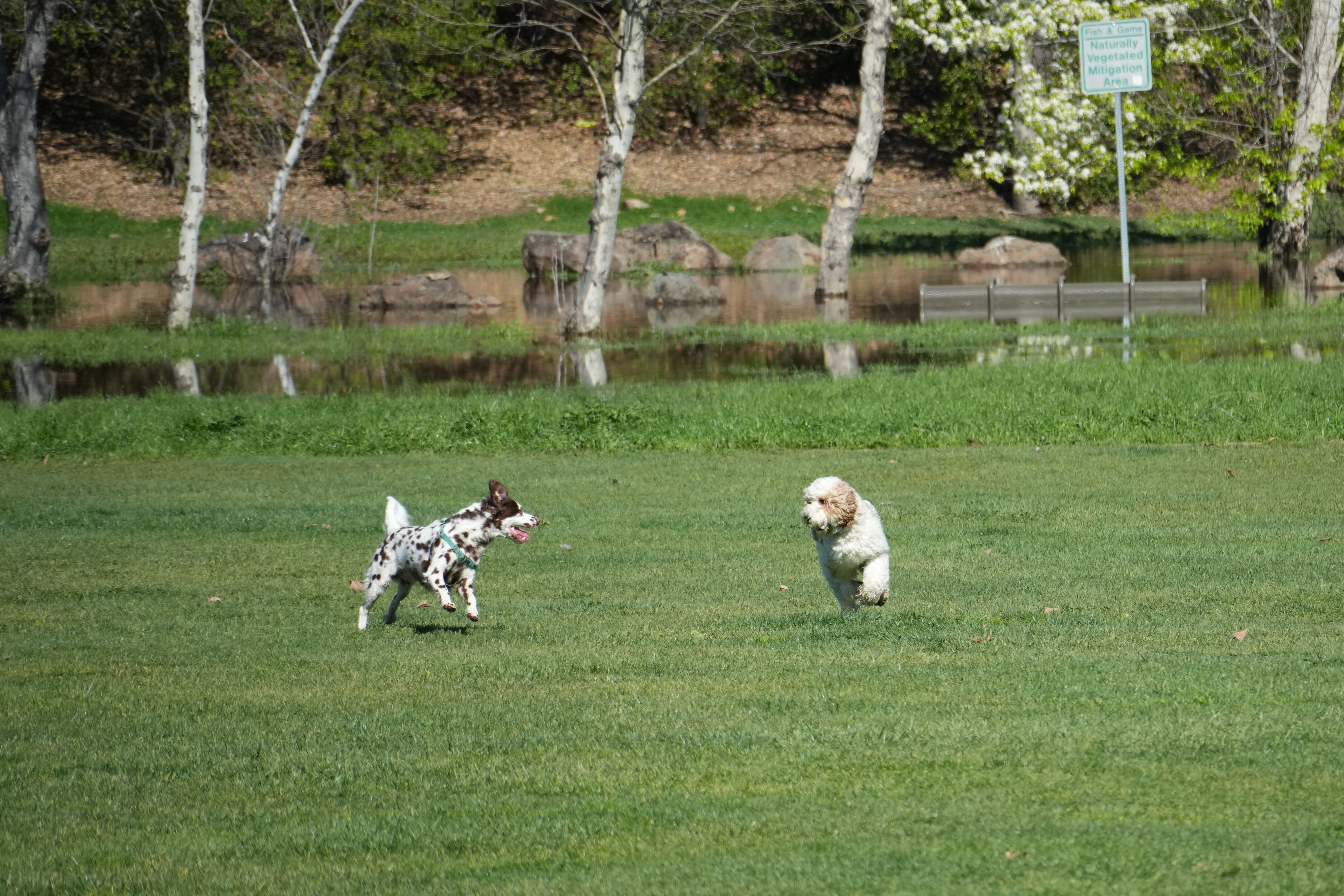Marsh Creek Regional Trail