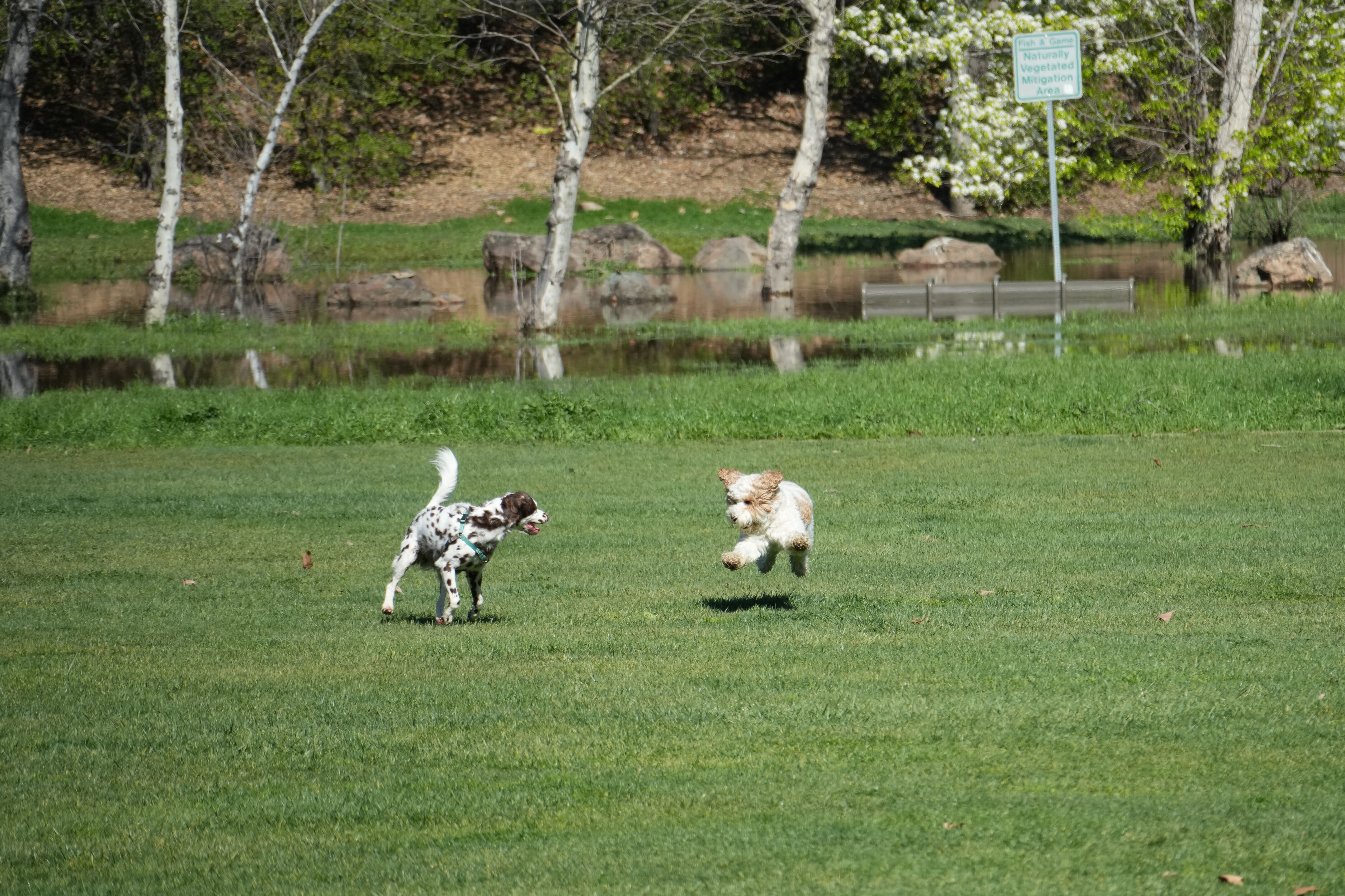 Marsh Creek Regional Trail