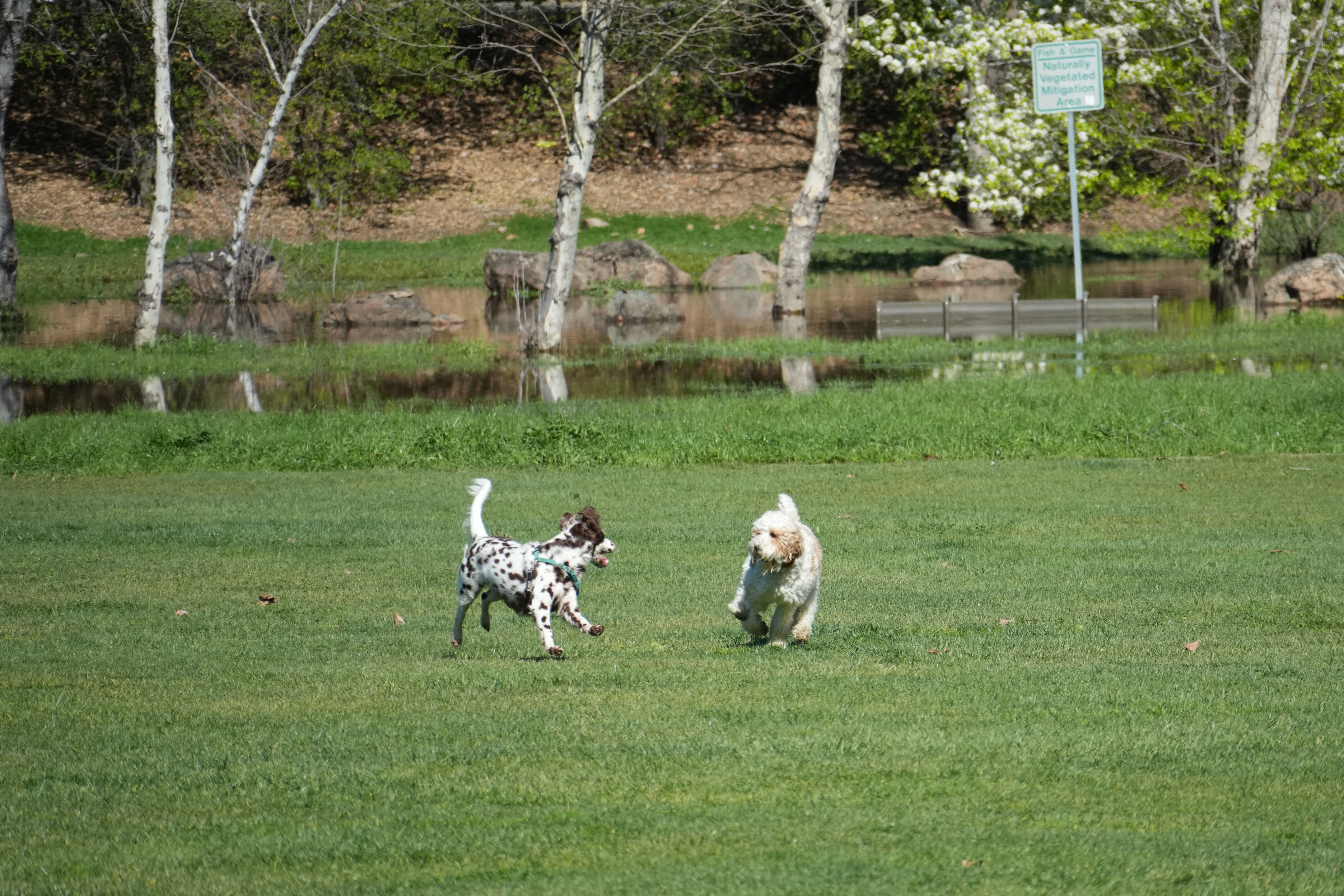 Marsh Creek Regional Trail