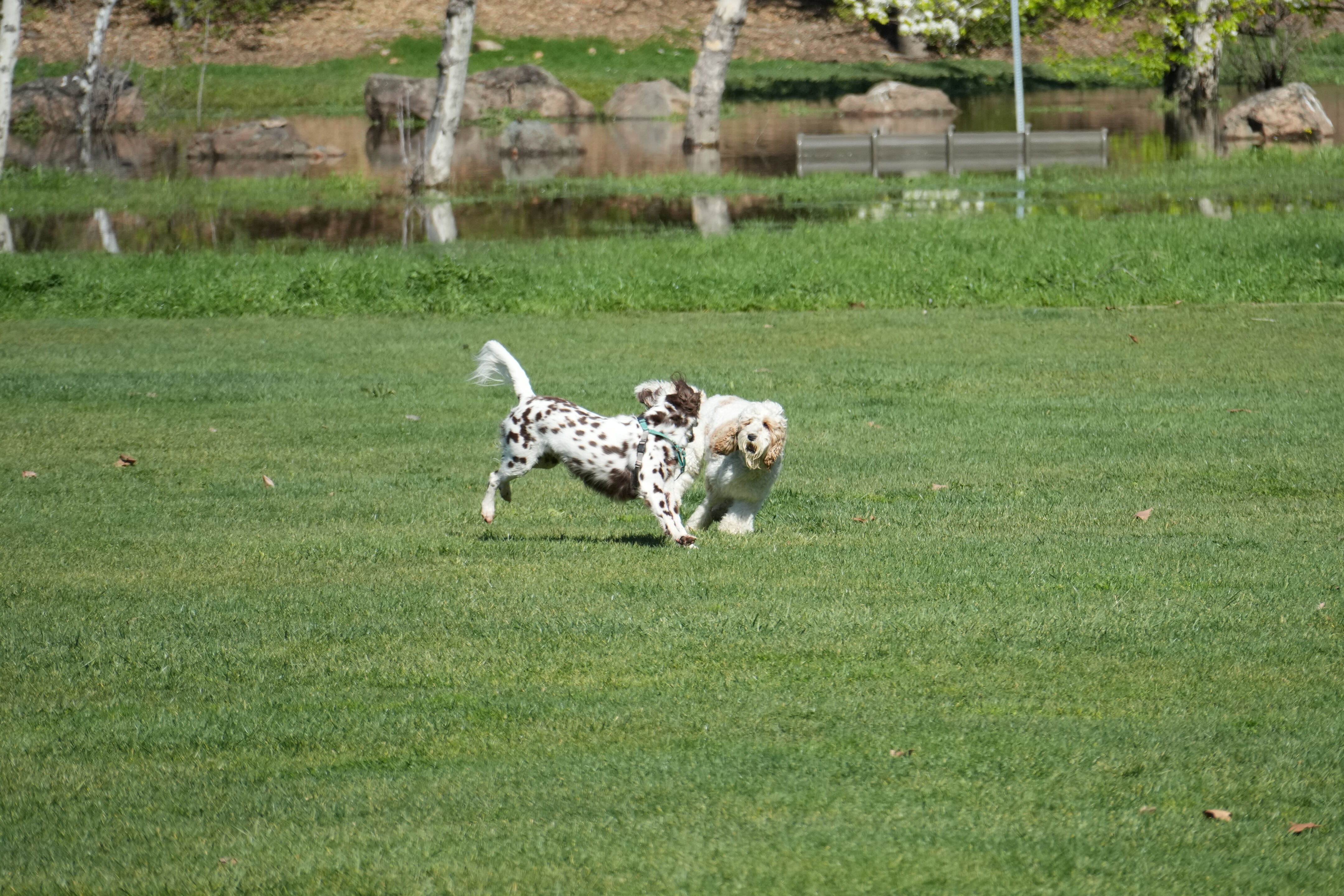Marsh Creek Regional Trail