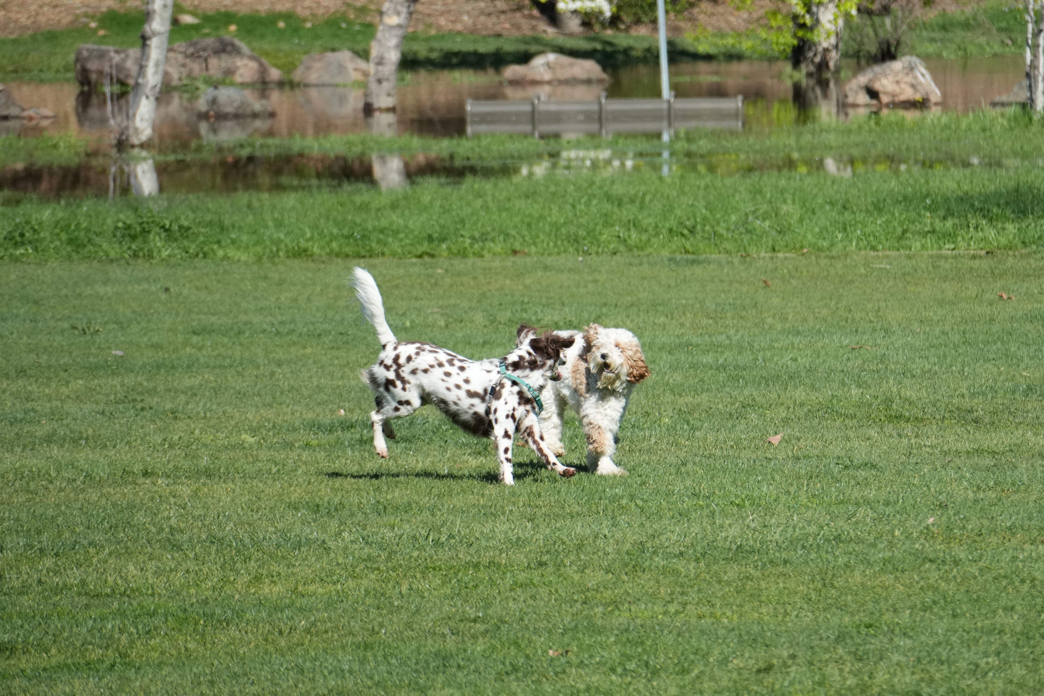 Marsh Creek Regional Trail
