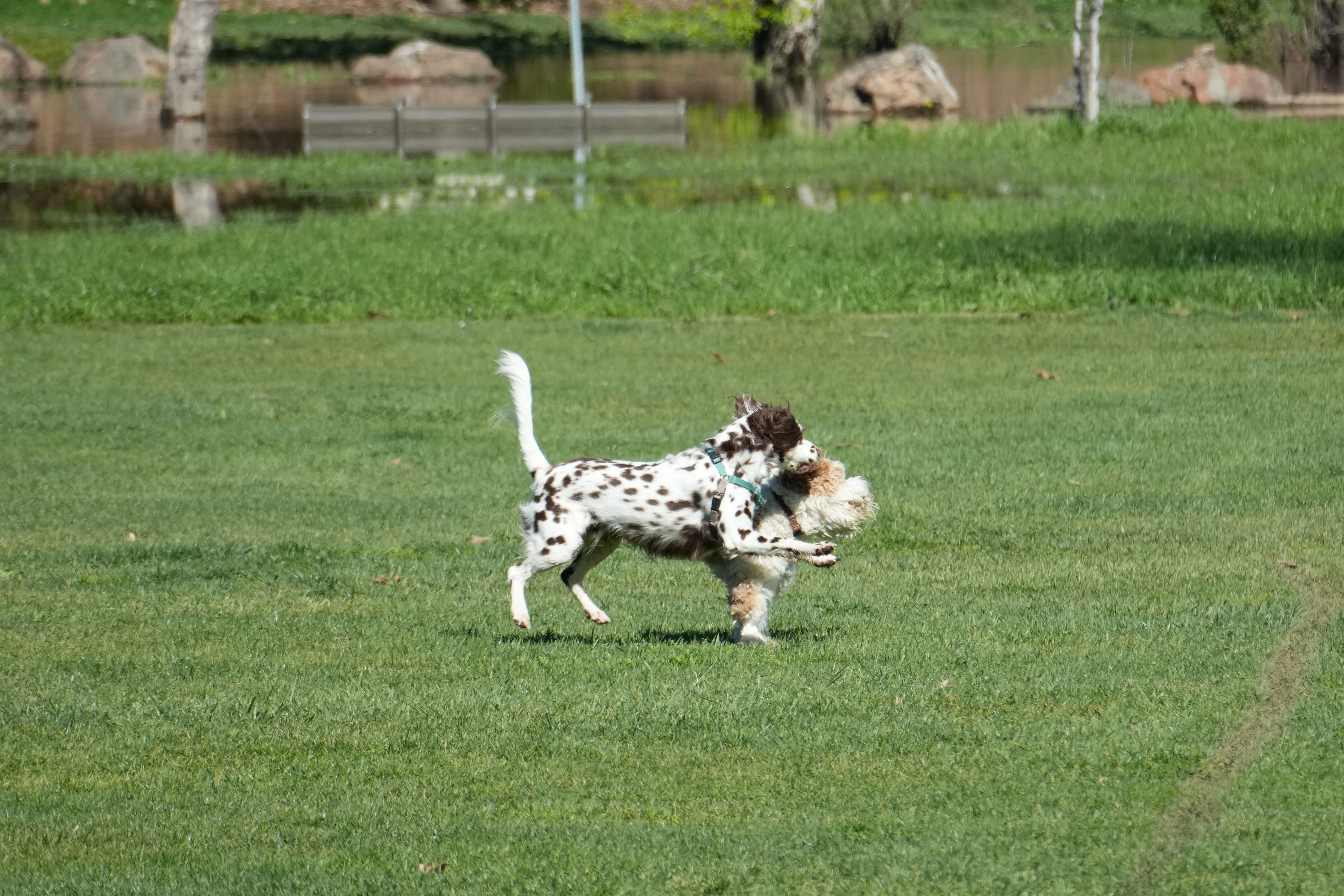 Marsh Creek Regional Trail