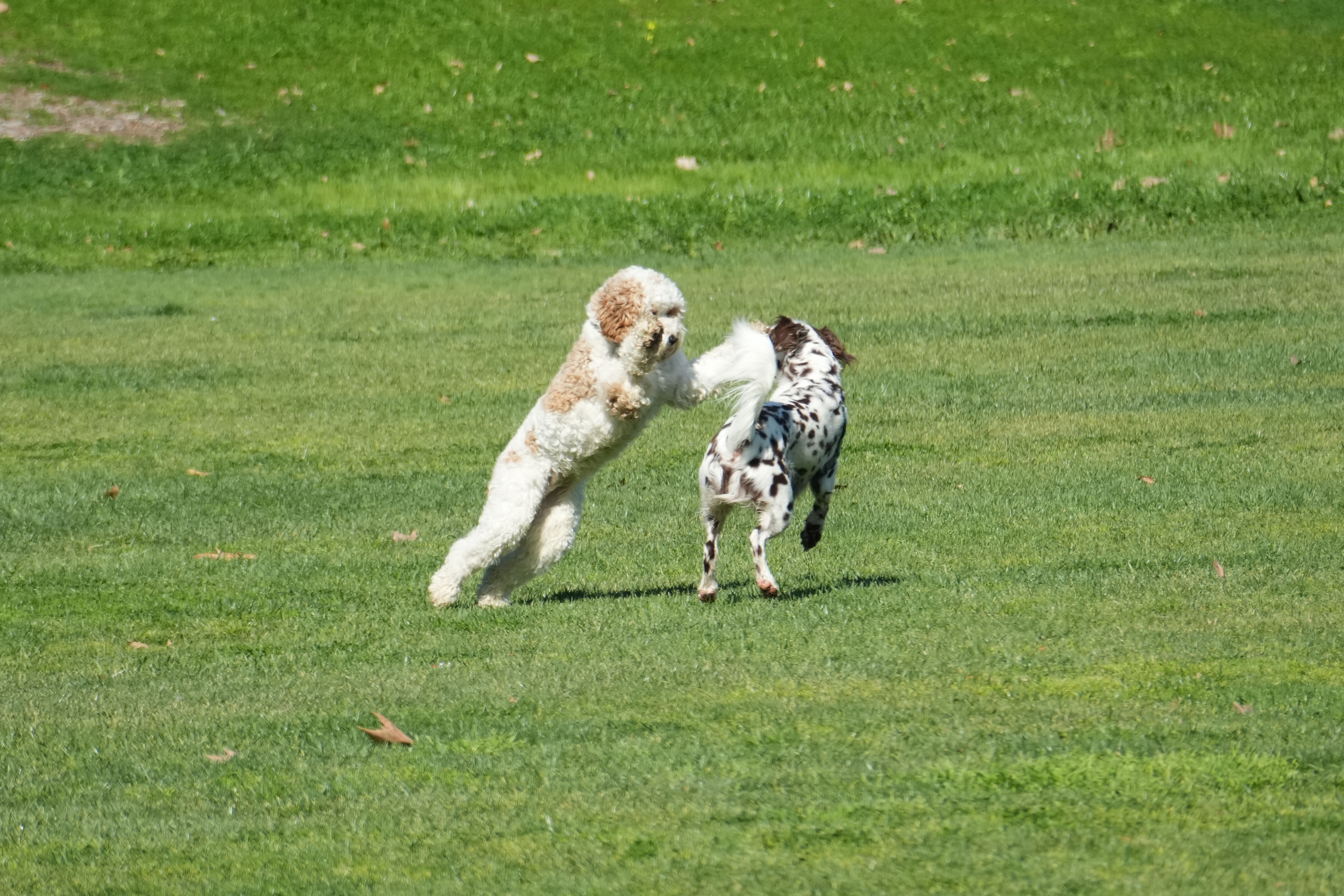 Marsh Creek Regional Trail
