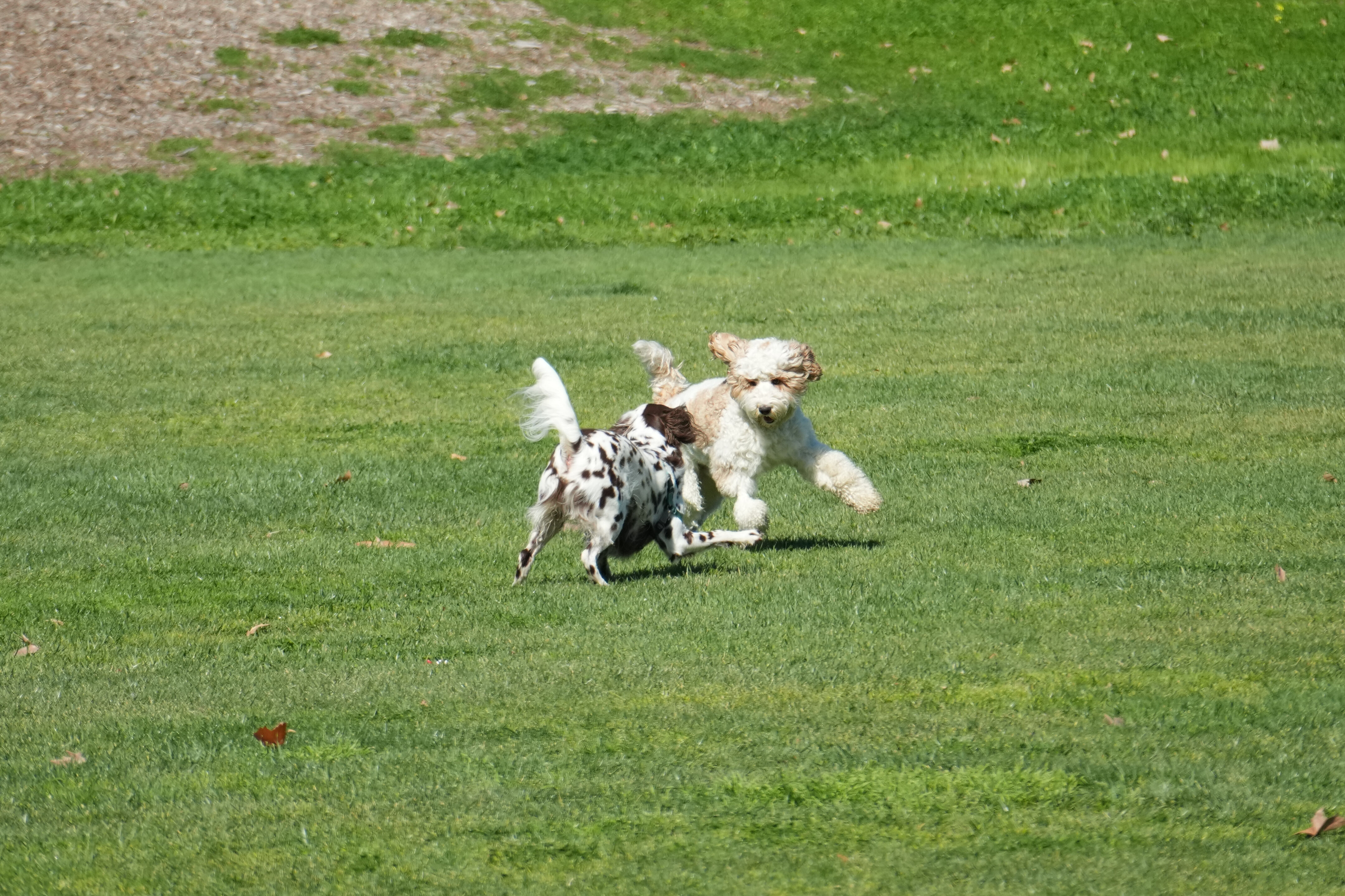 Marsh Creek Regional Trail
