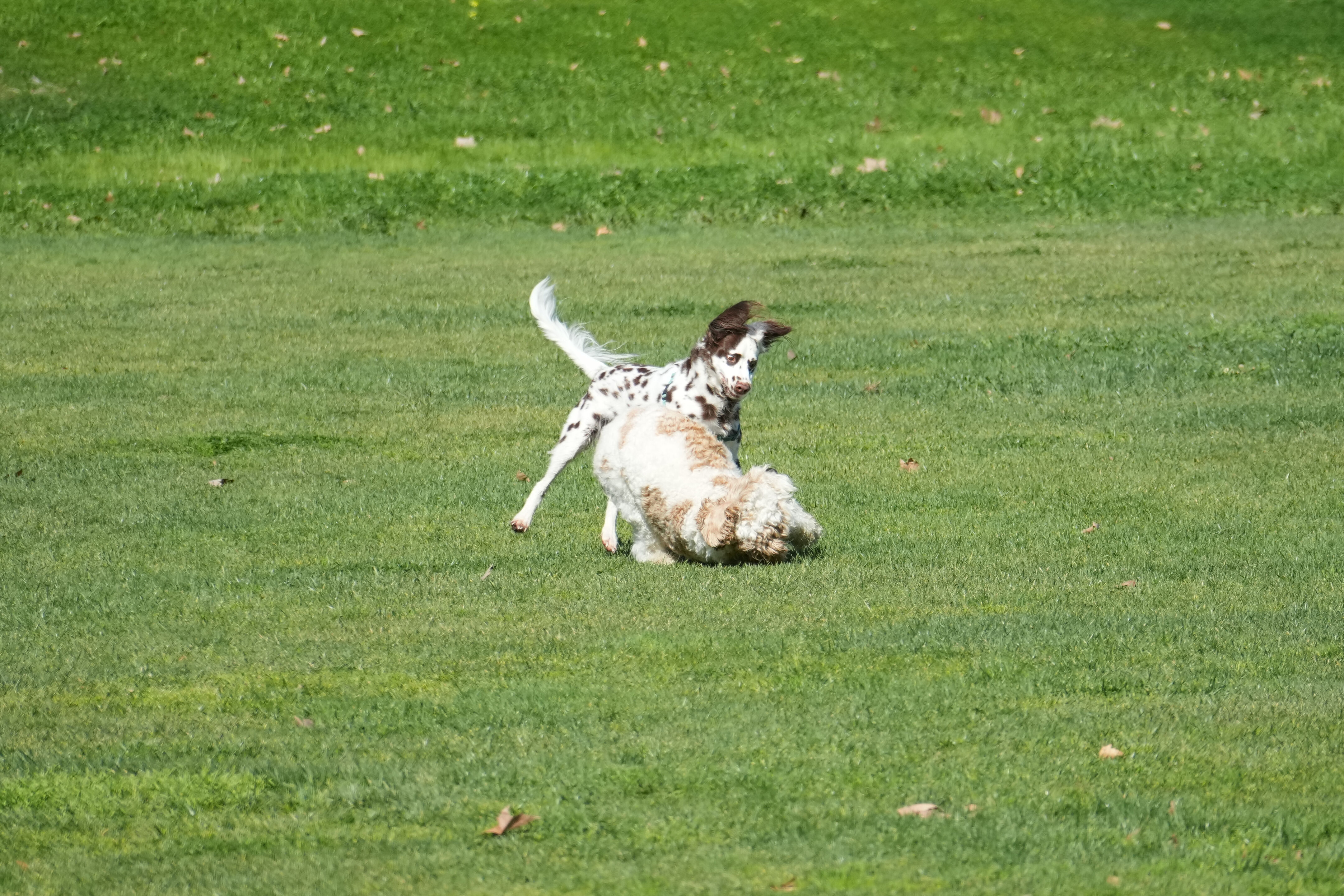 Marsh Creek Regional Trail