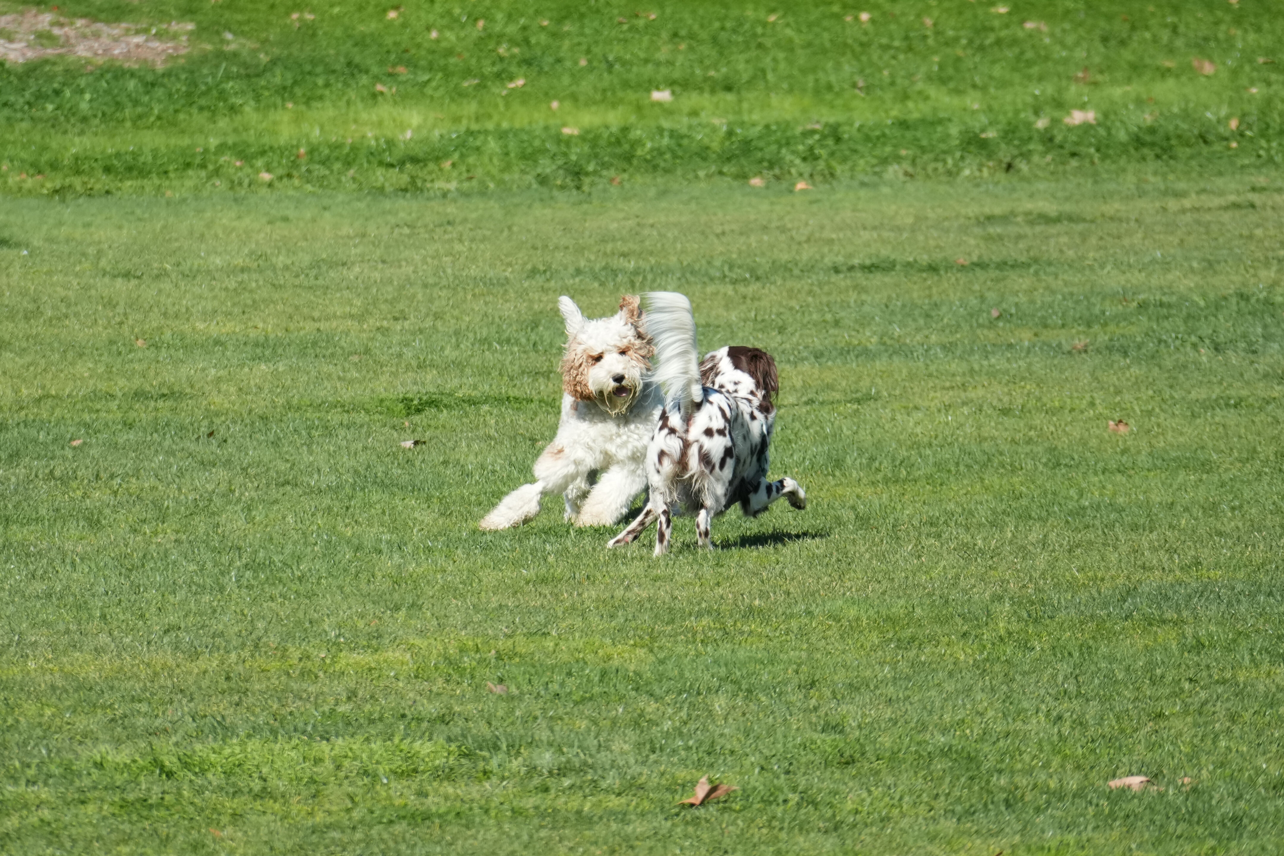 Marsh Creek Regional Trail