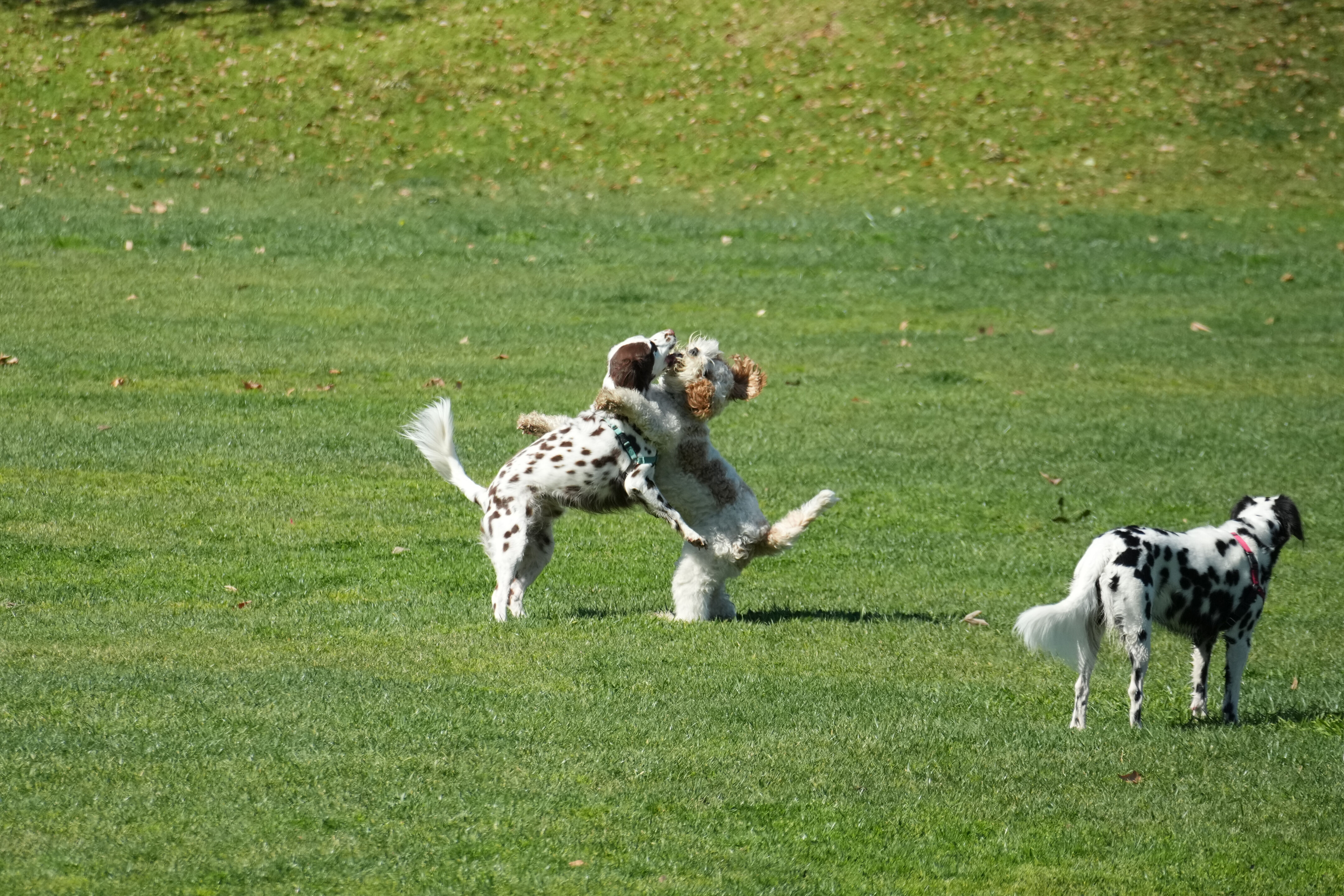 Marsh Creek Regional Trail