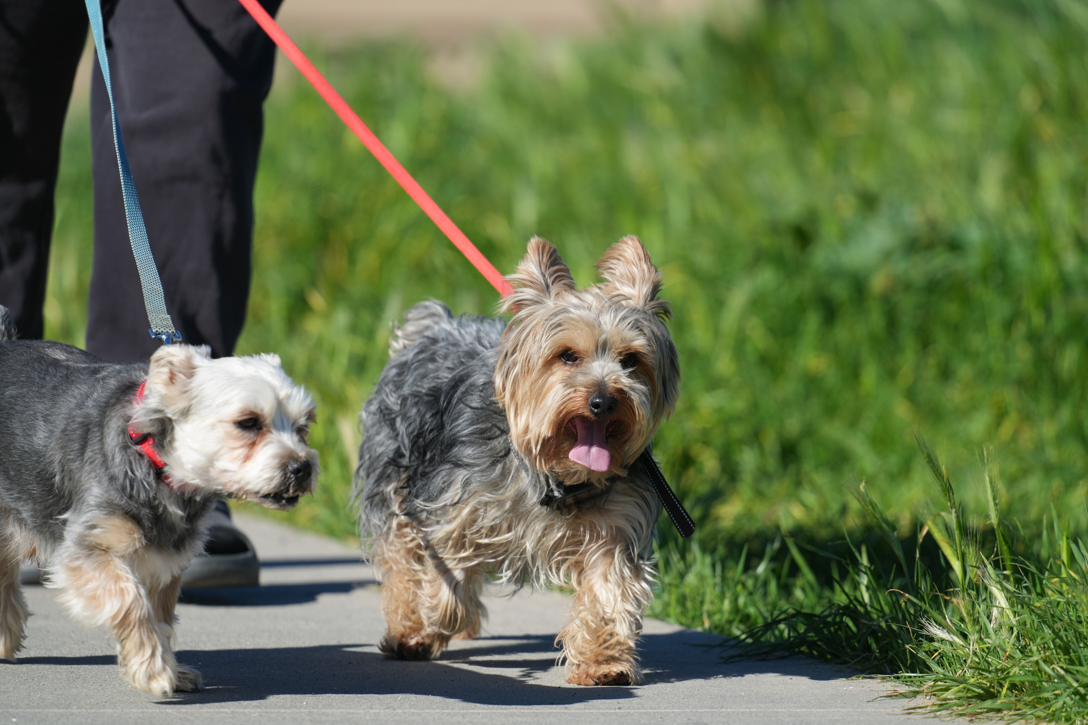 McLaughlin Eastshore State Park