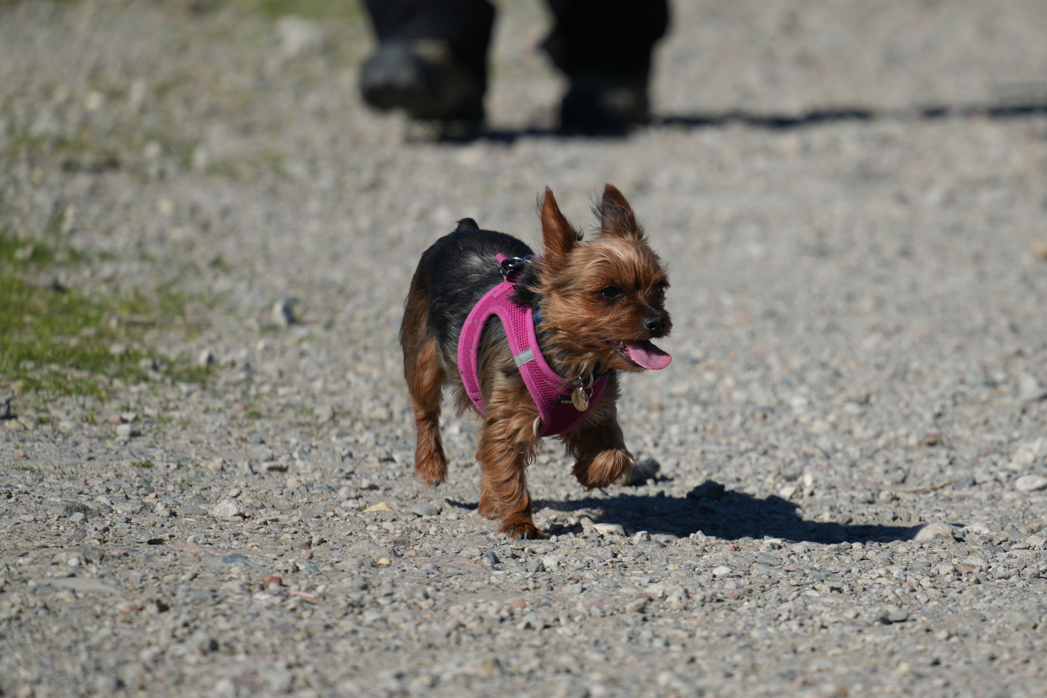 McLaughlin Eastshore State Park