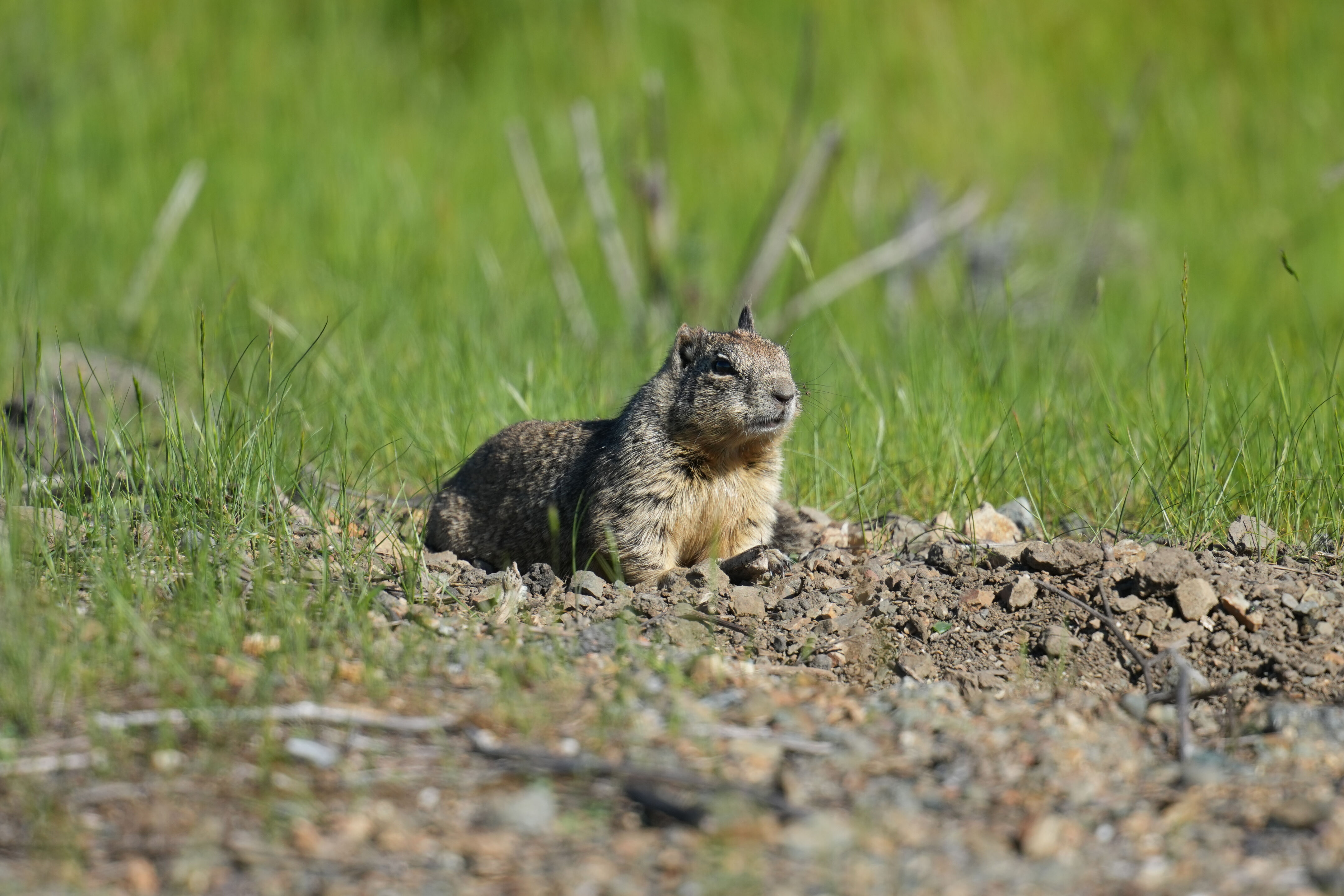 McLaughlin Eastshore State Park