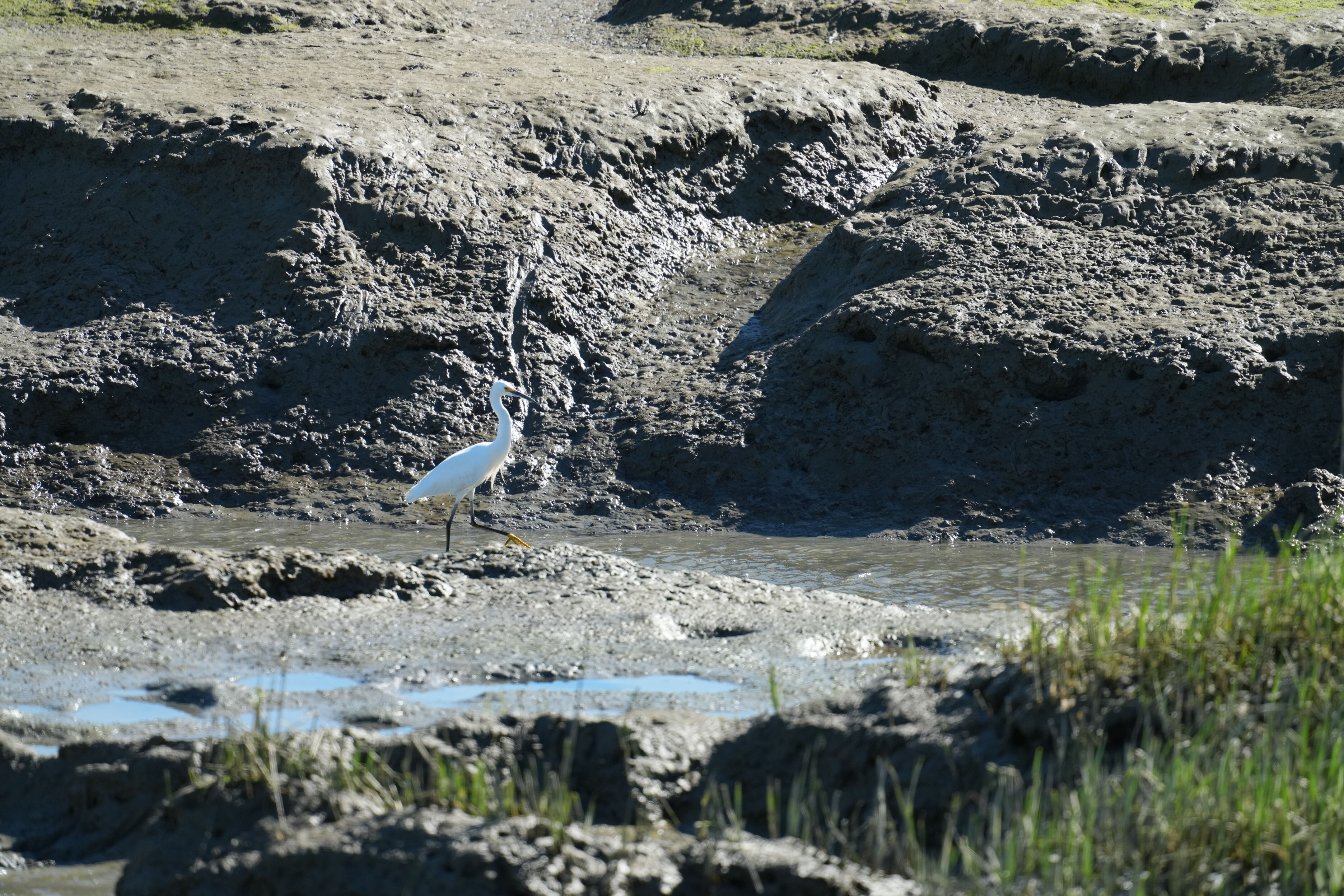 McLaughlin Eastshore State Park