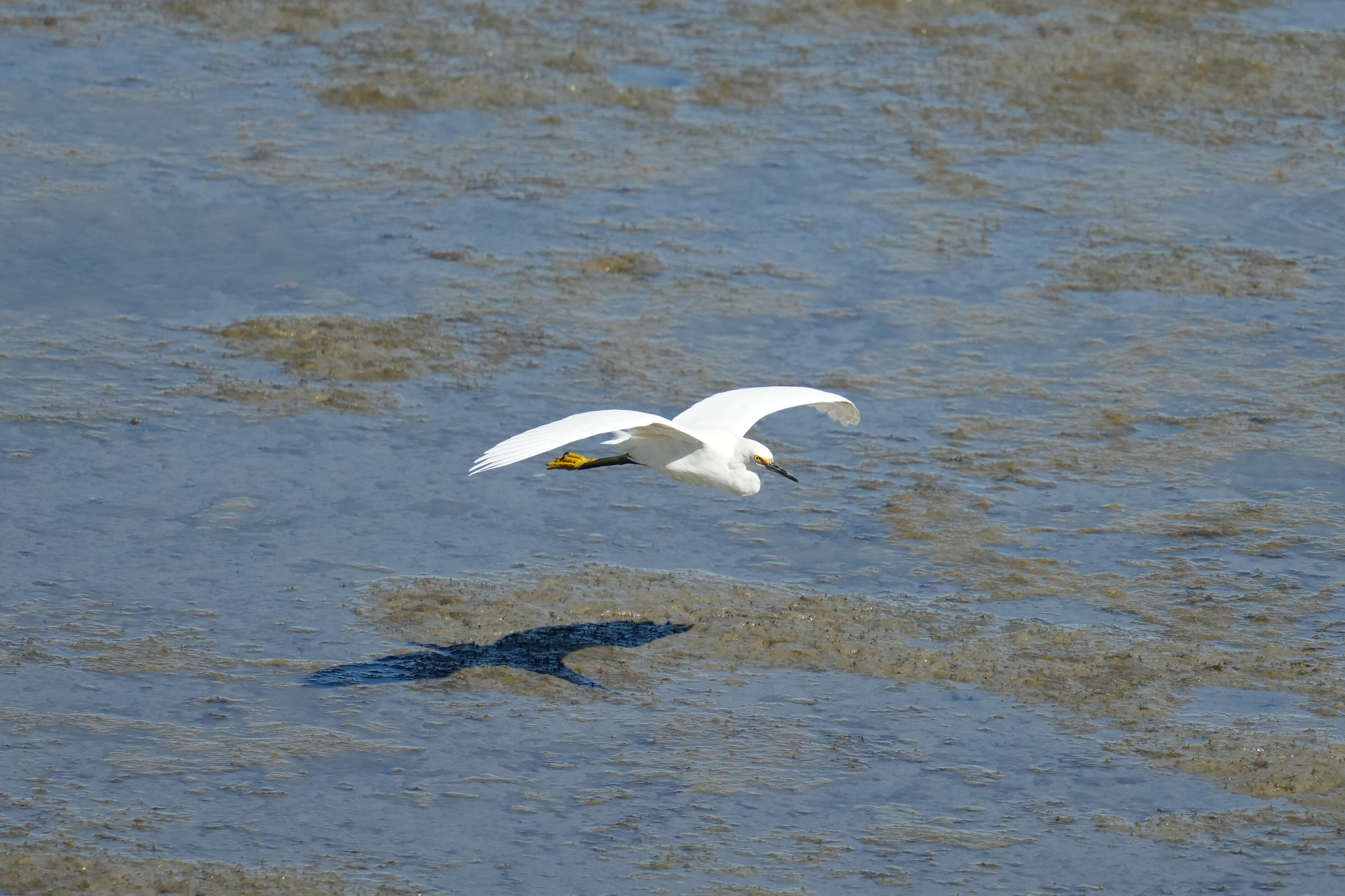 McLaughlin Eastshore State Park