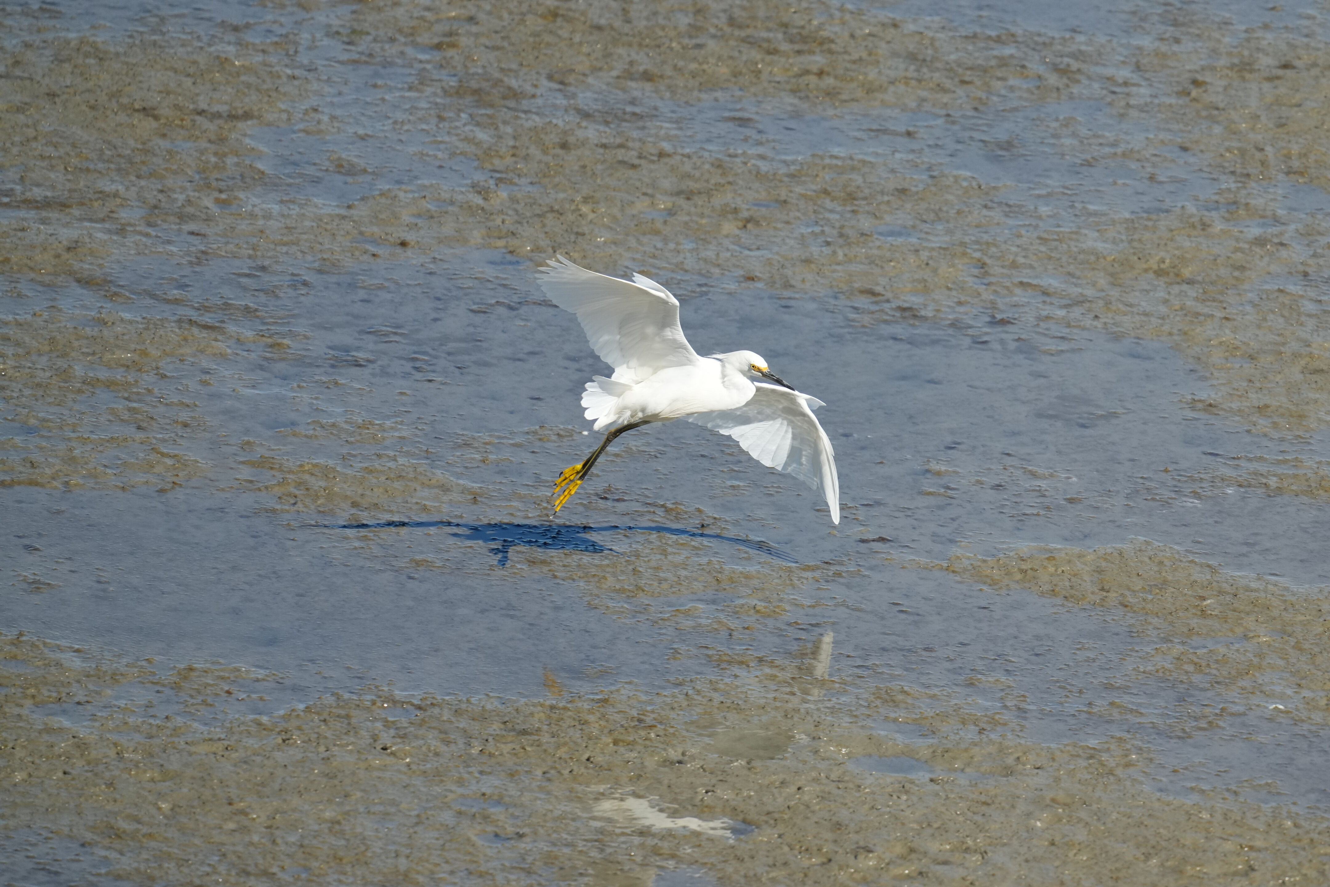 McLaughlin Eastshore State Park