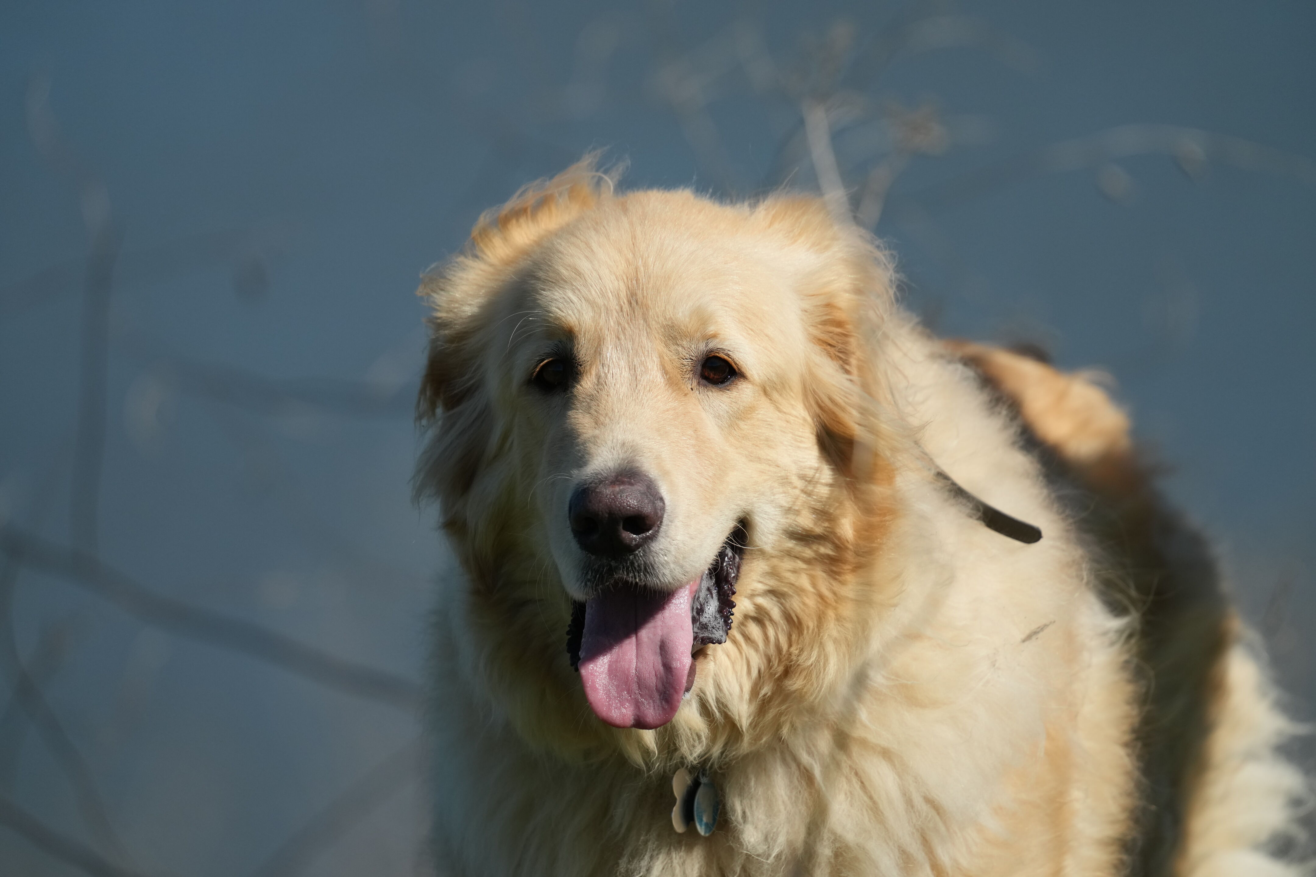 McLaughlin Eastshore State Park