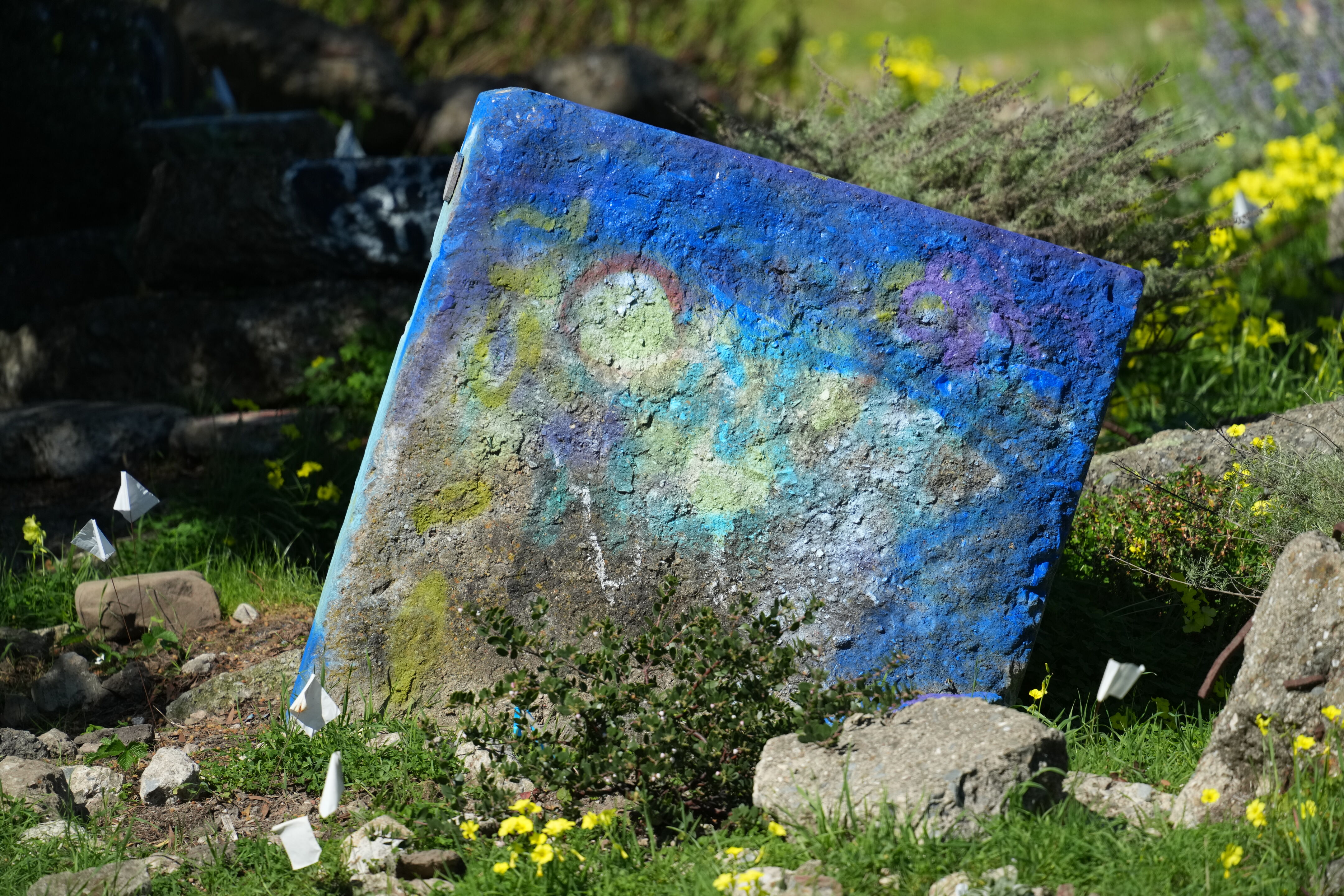 McLaughlin Eastshore State Park