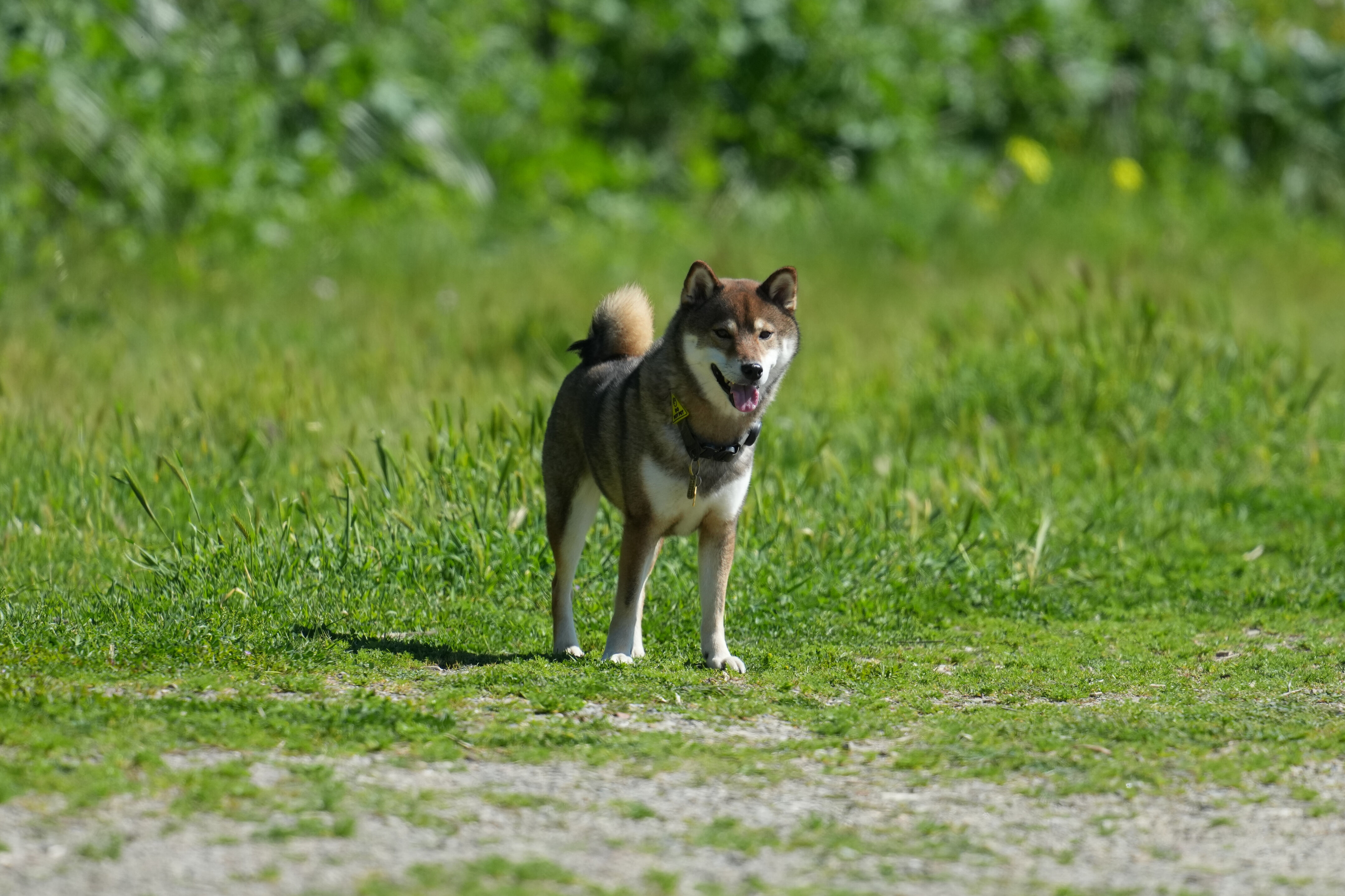 McLaughlin Eastshore State Park