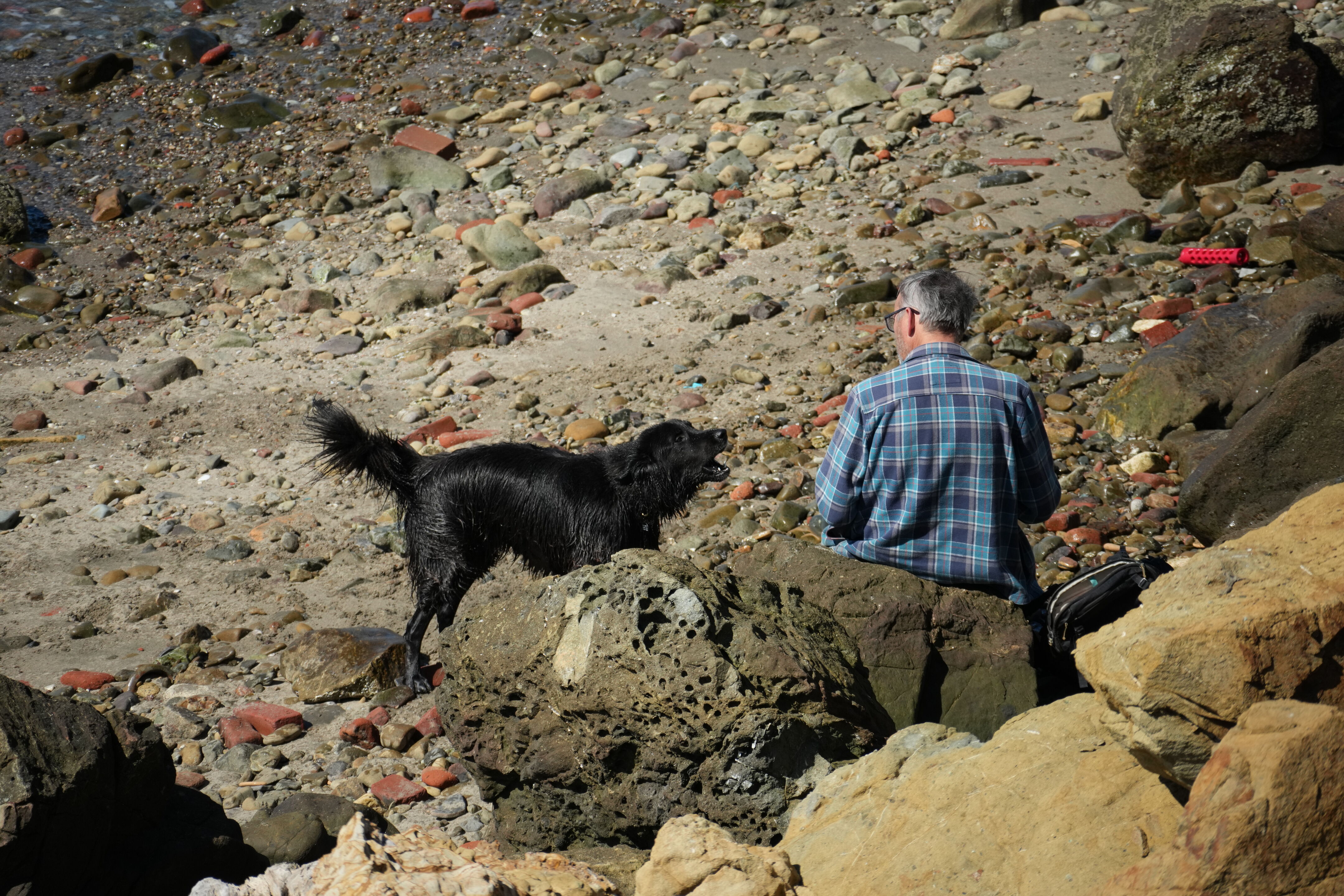 McLaughlin Eastshore State Park