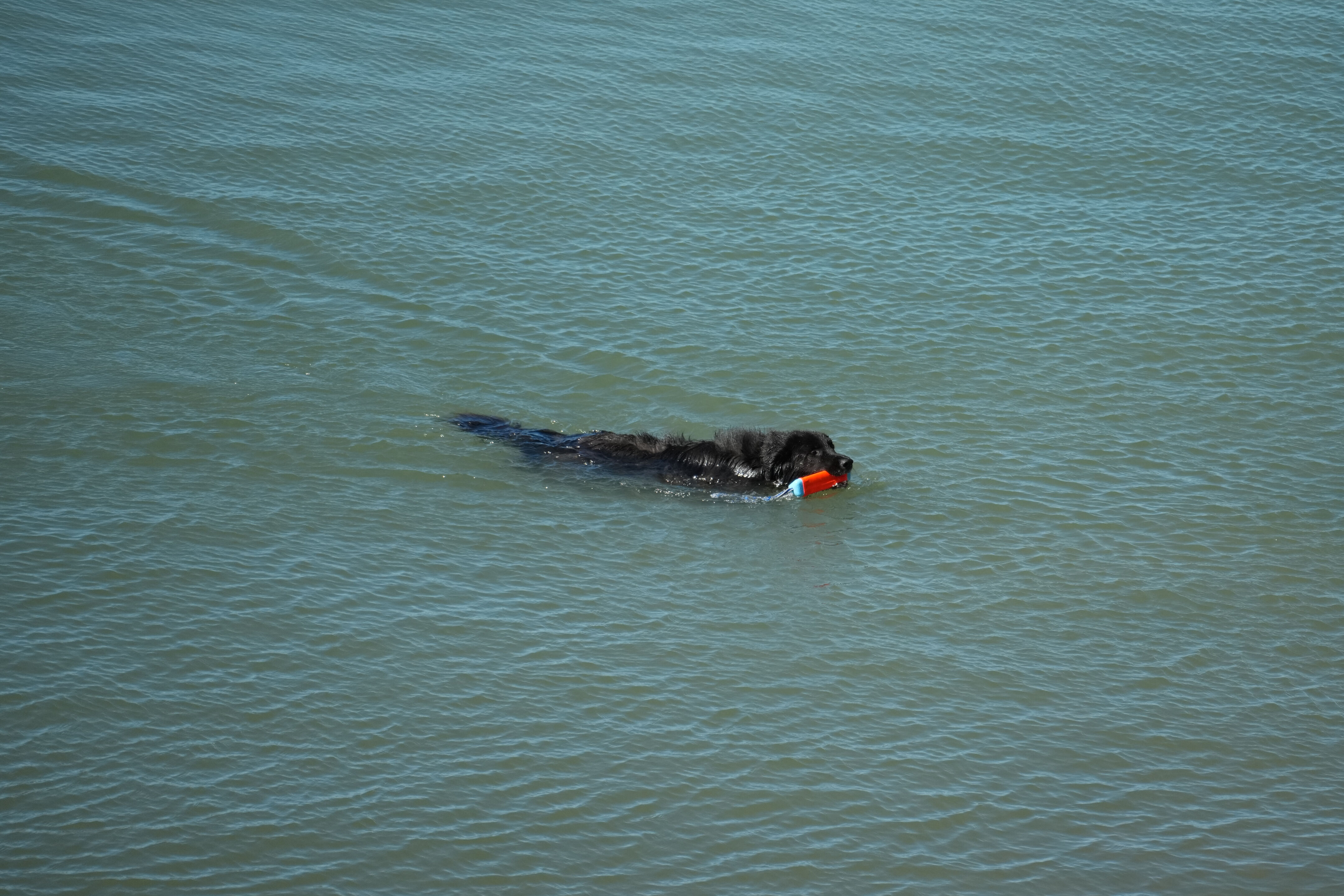 McLaughlin Eastshore State Park