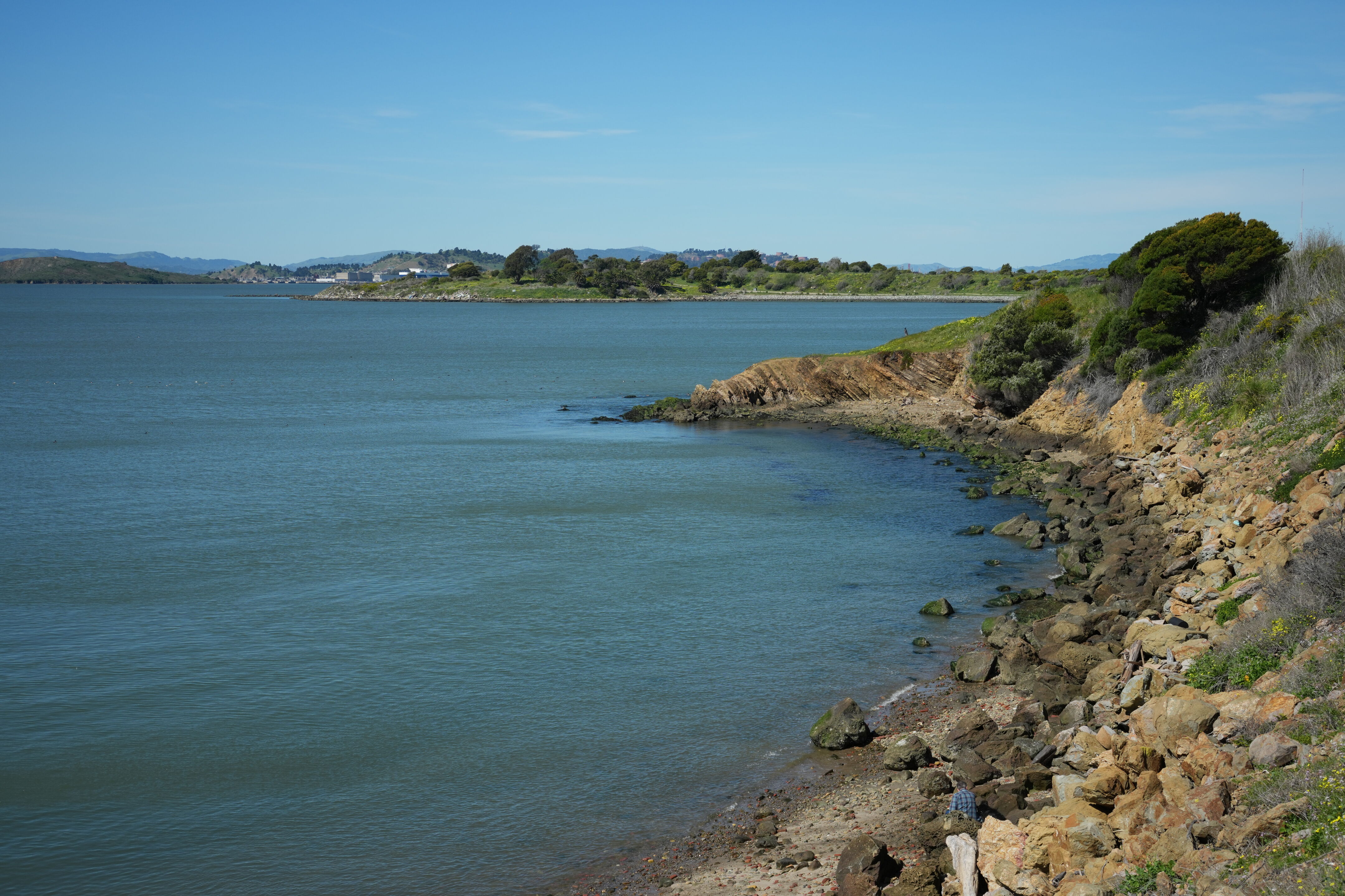 McLaughlin Eastshore State Park