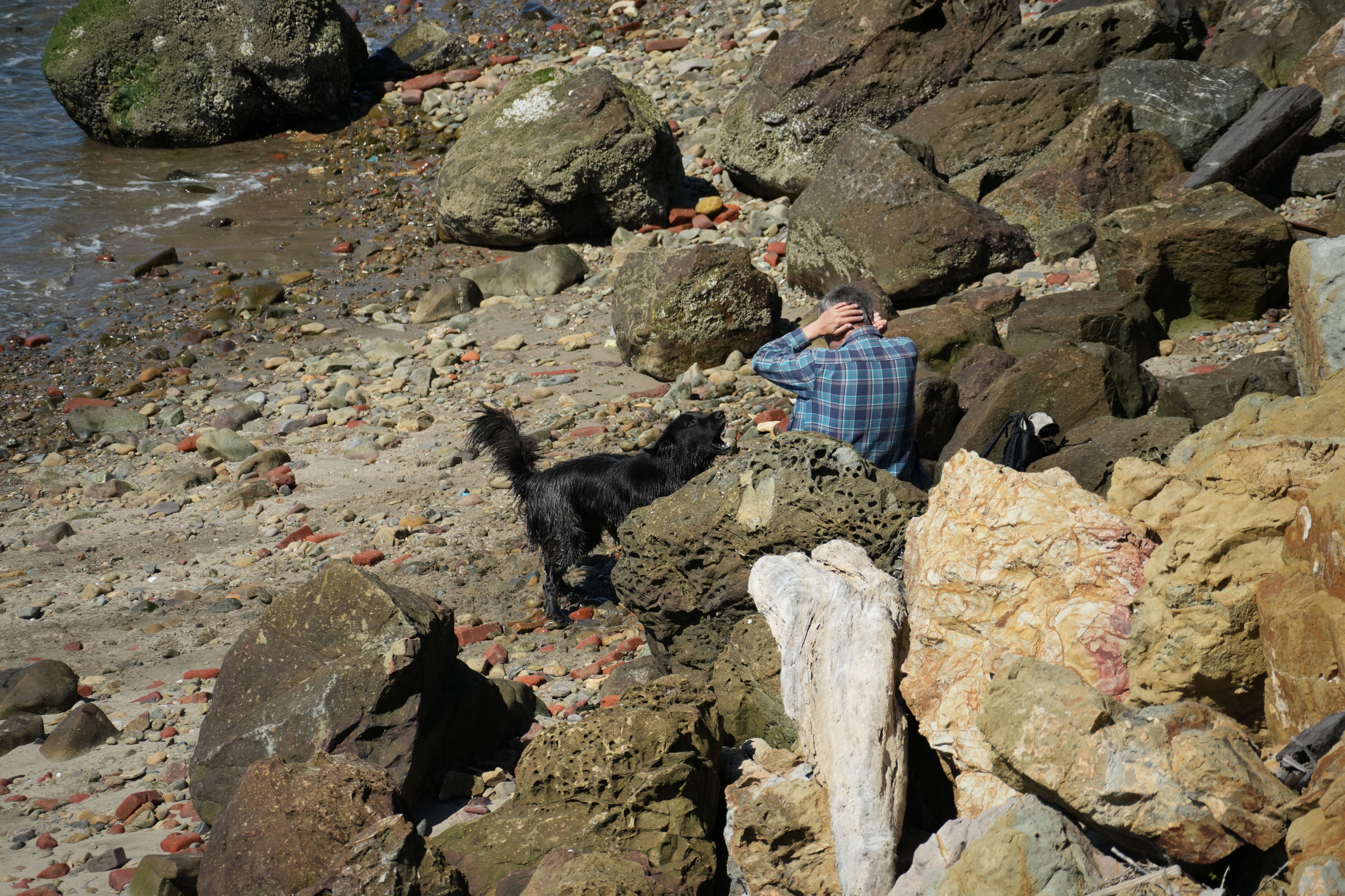 McLaughlin Eastshore State Park