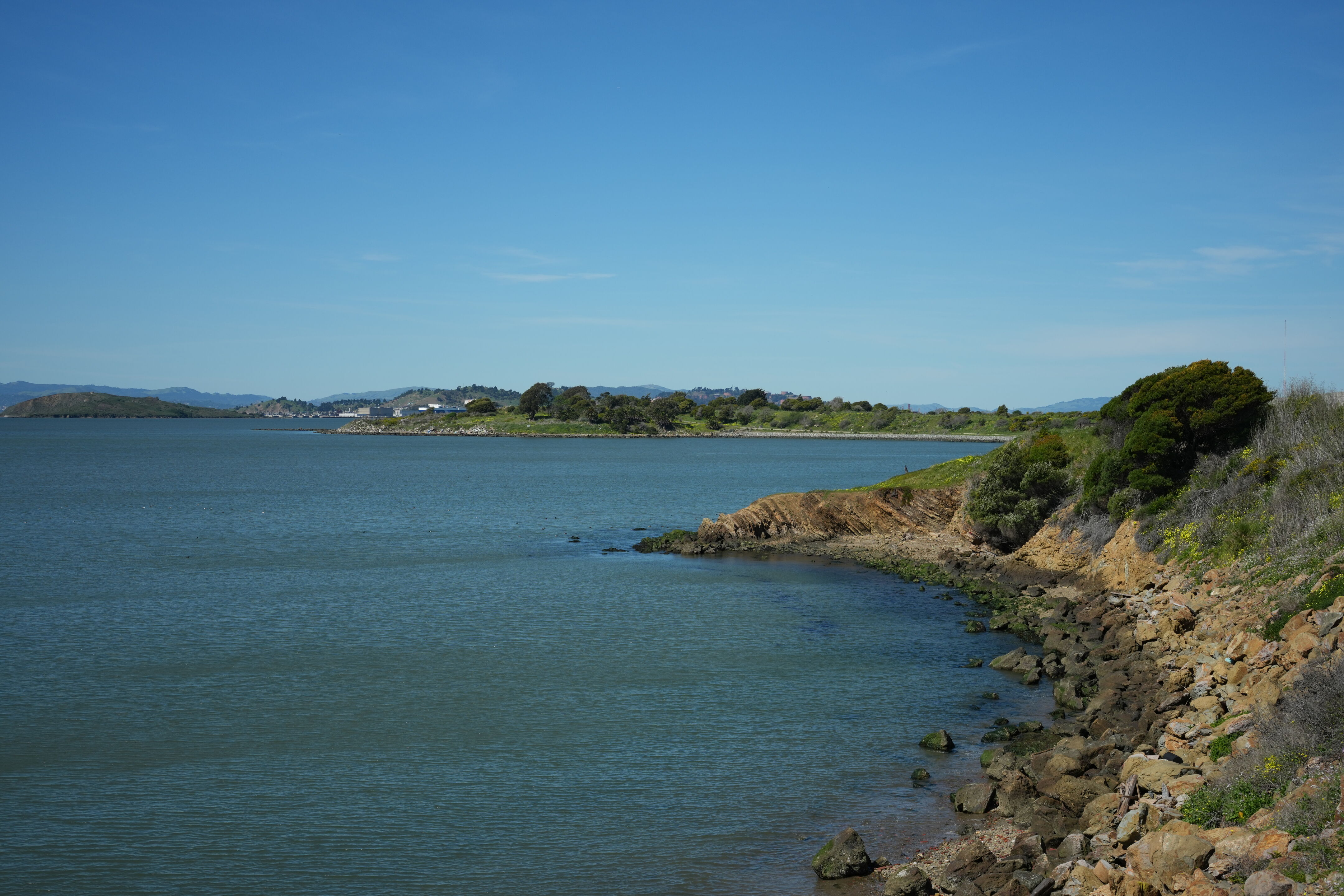 McLaughlin Eastshore State Park