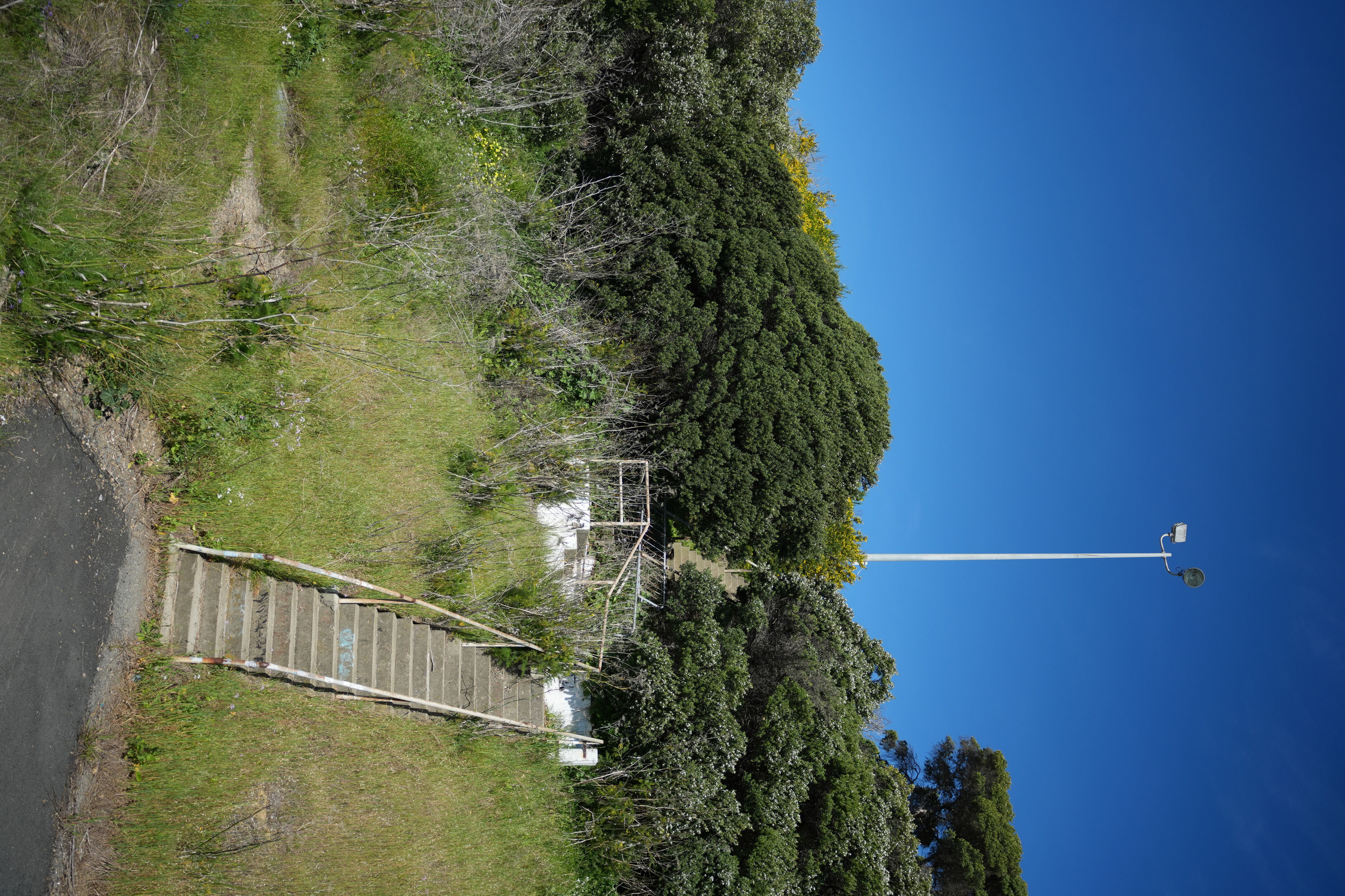 McLaughlin Eastshore State Park