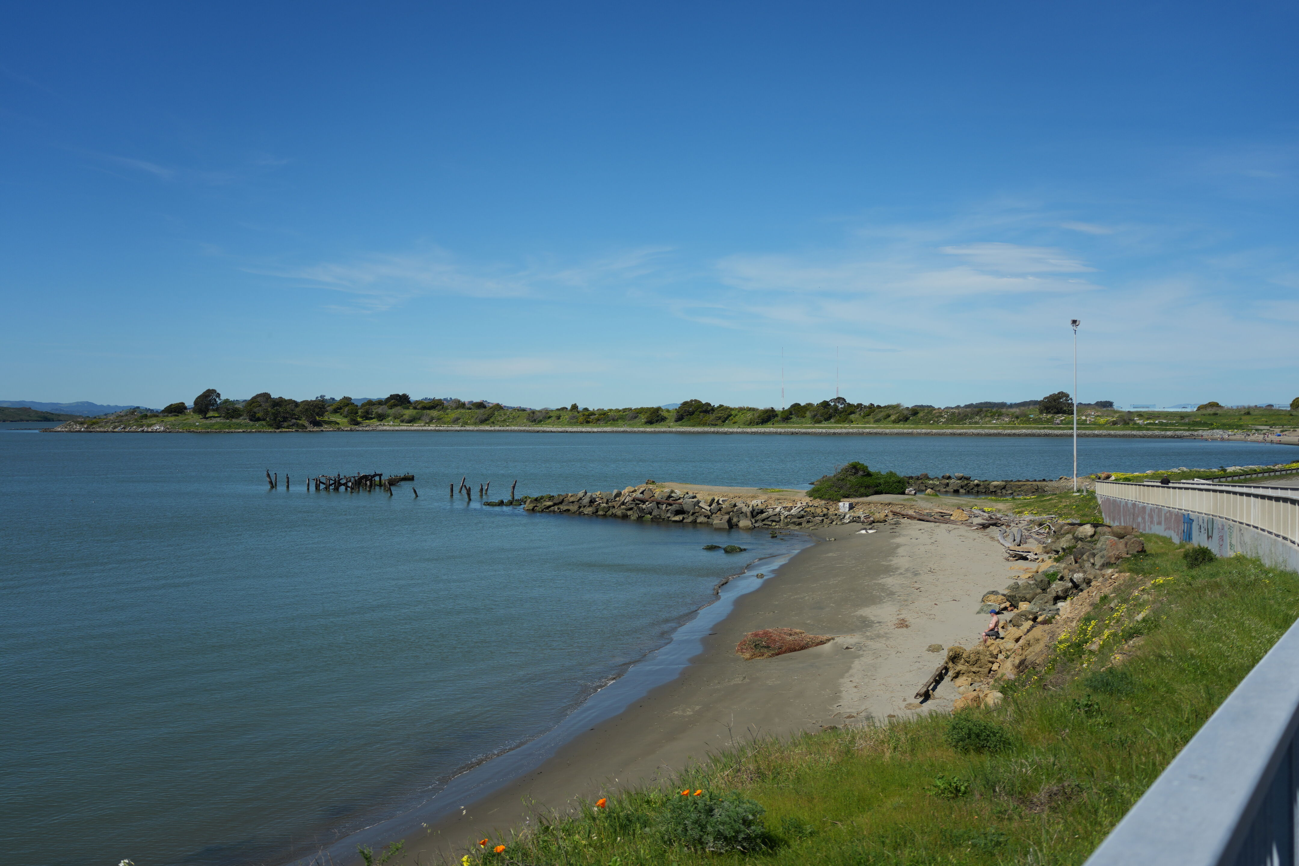 McLaughlin Eastshore State Park