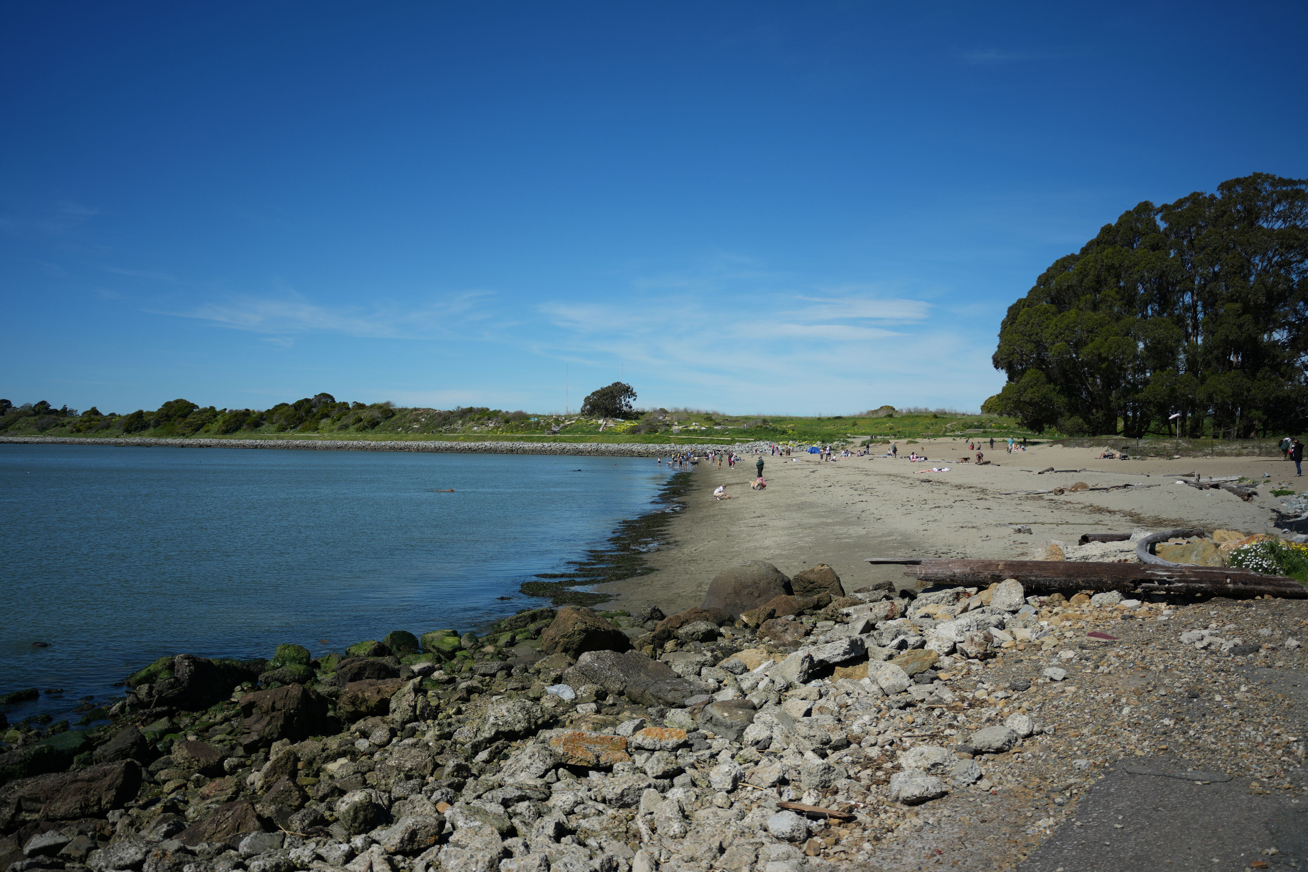 McLaughlin Eastshore State Park