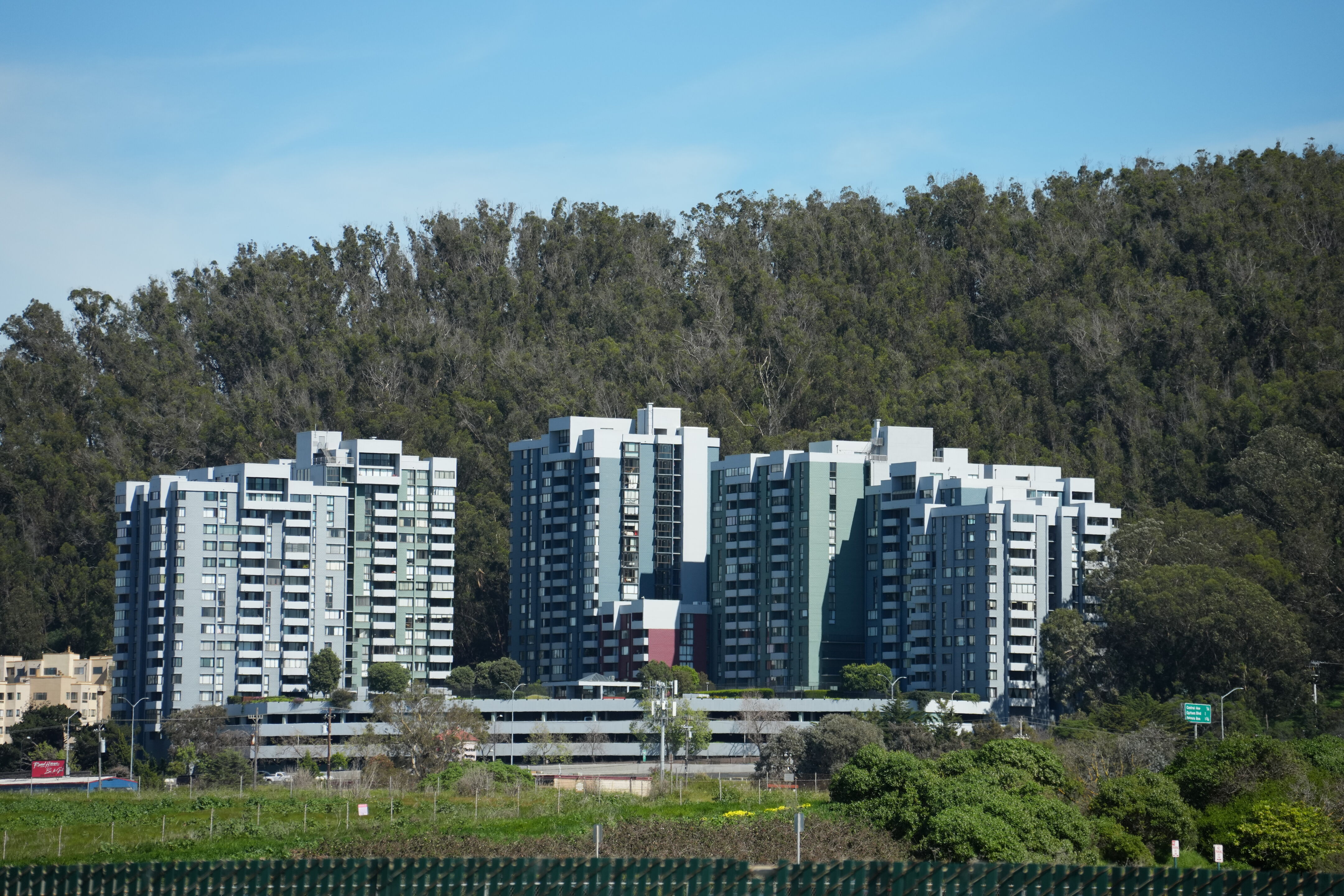 McLaughlin Eastshore State Park