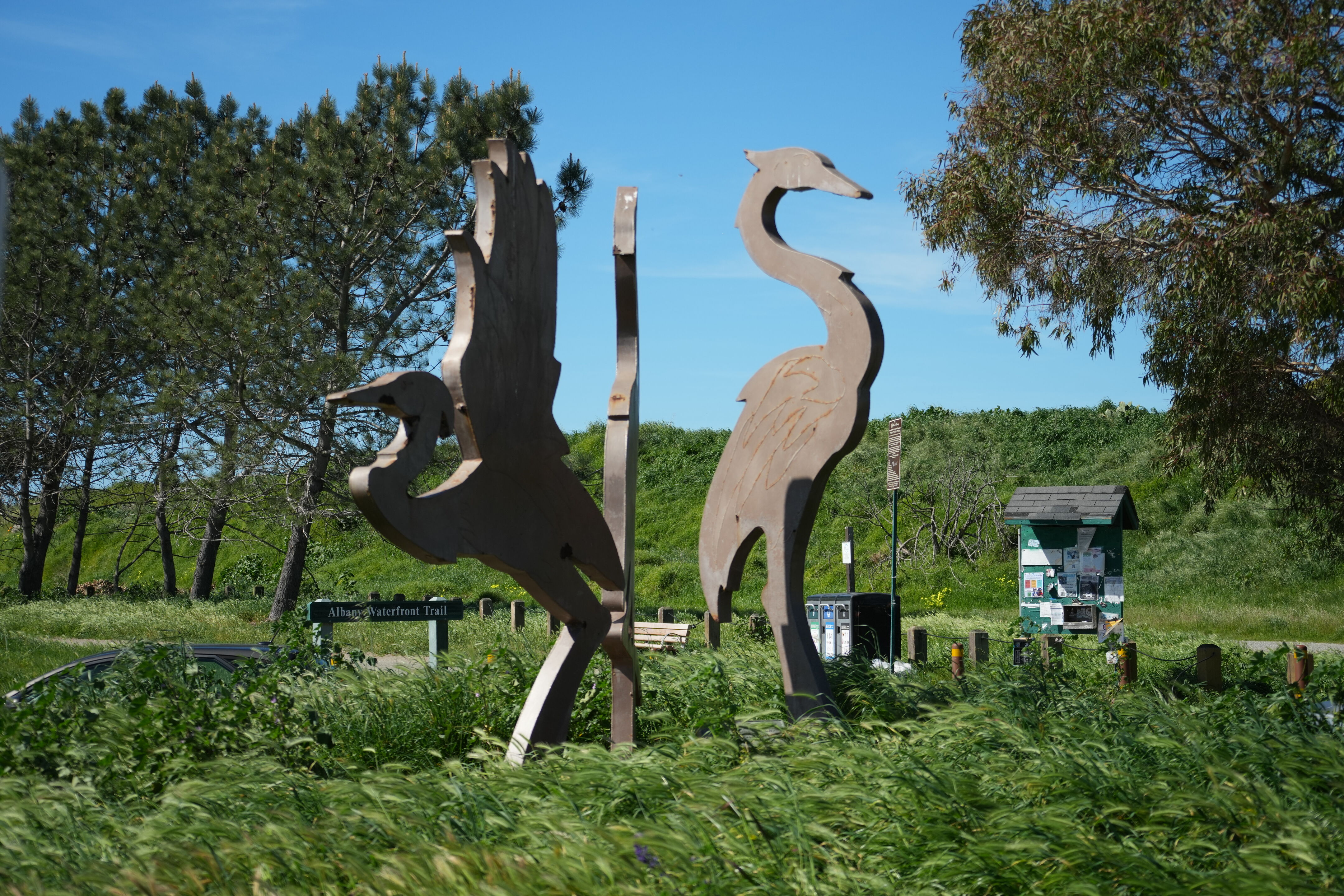 McLaughlin Eastshore State Park