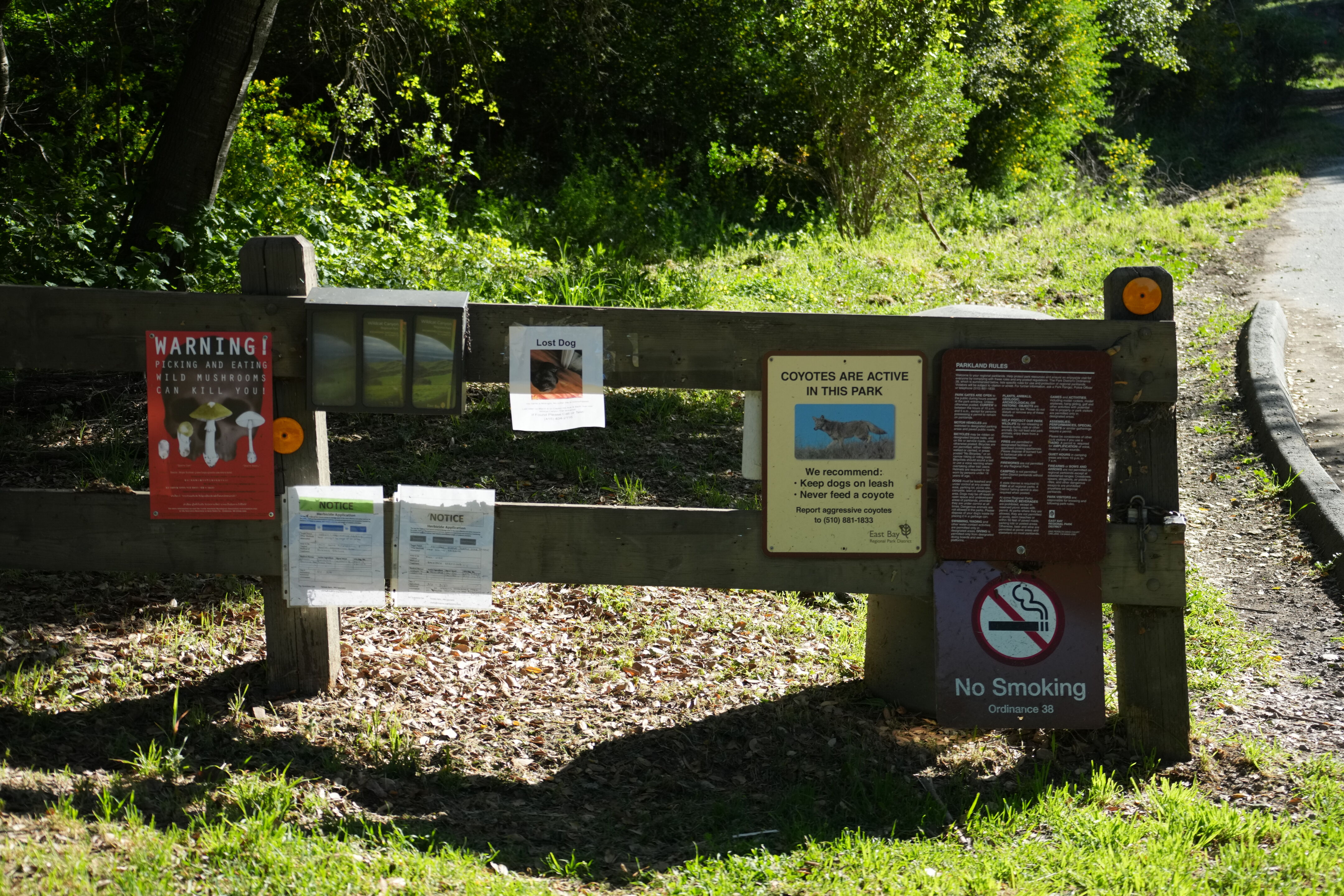 Wildcat Canyon Regional Park