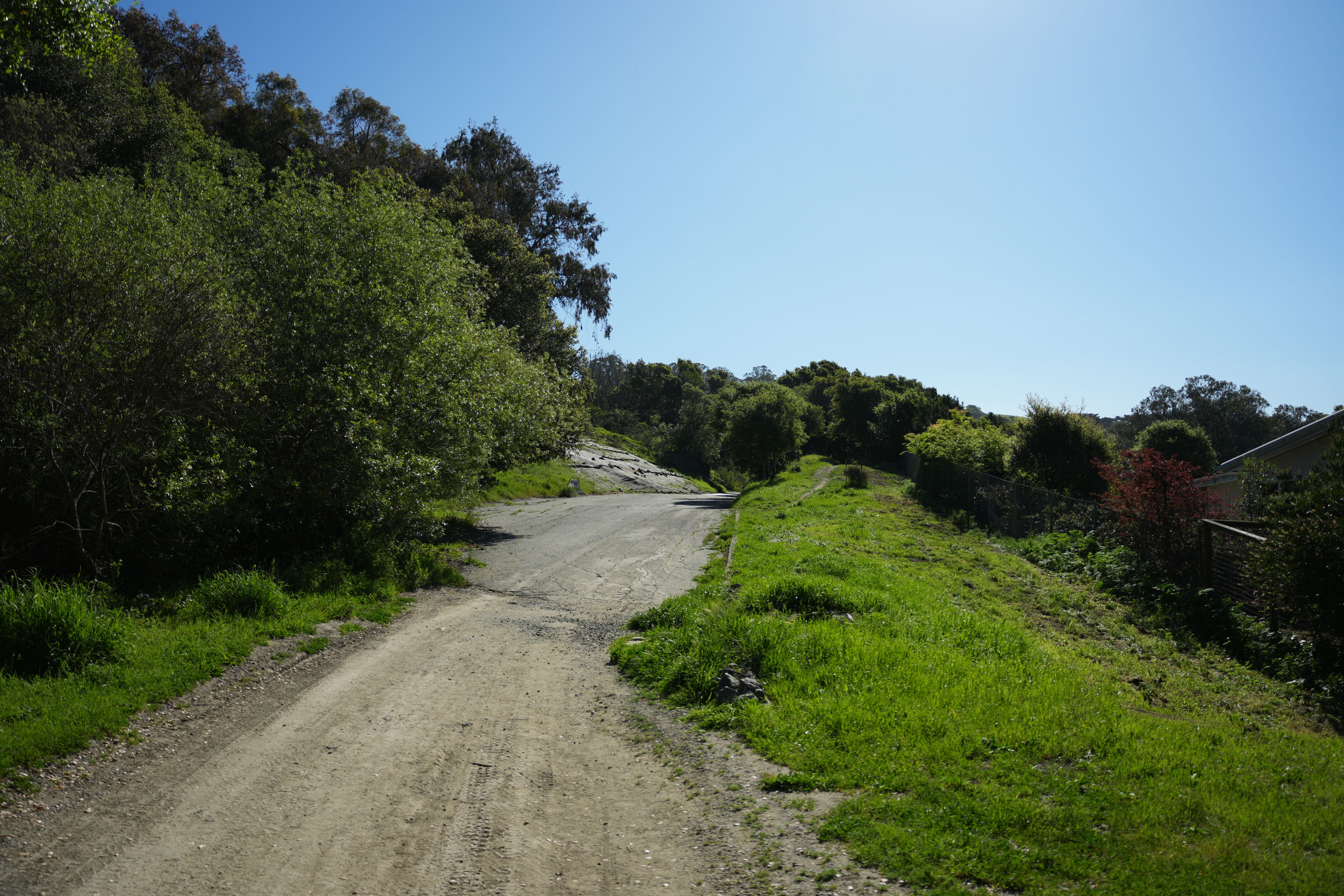 Wildcat Canyon Regional Park