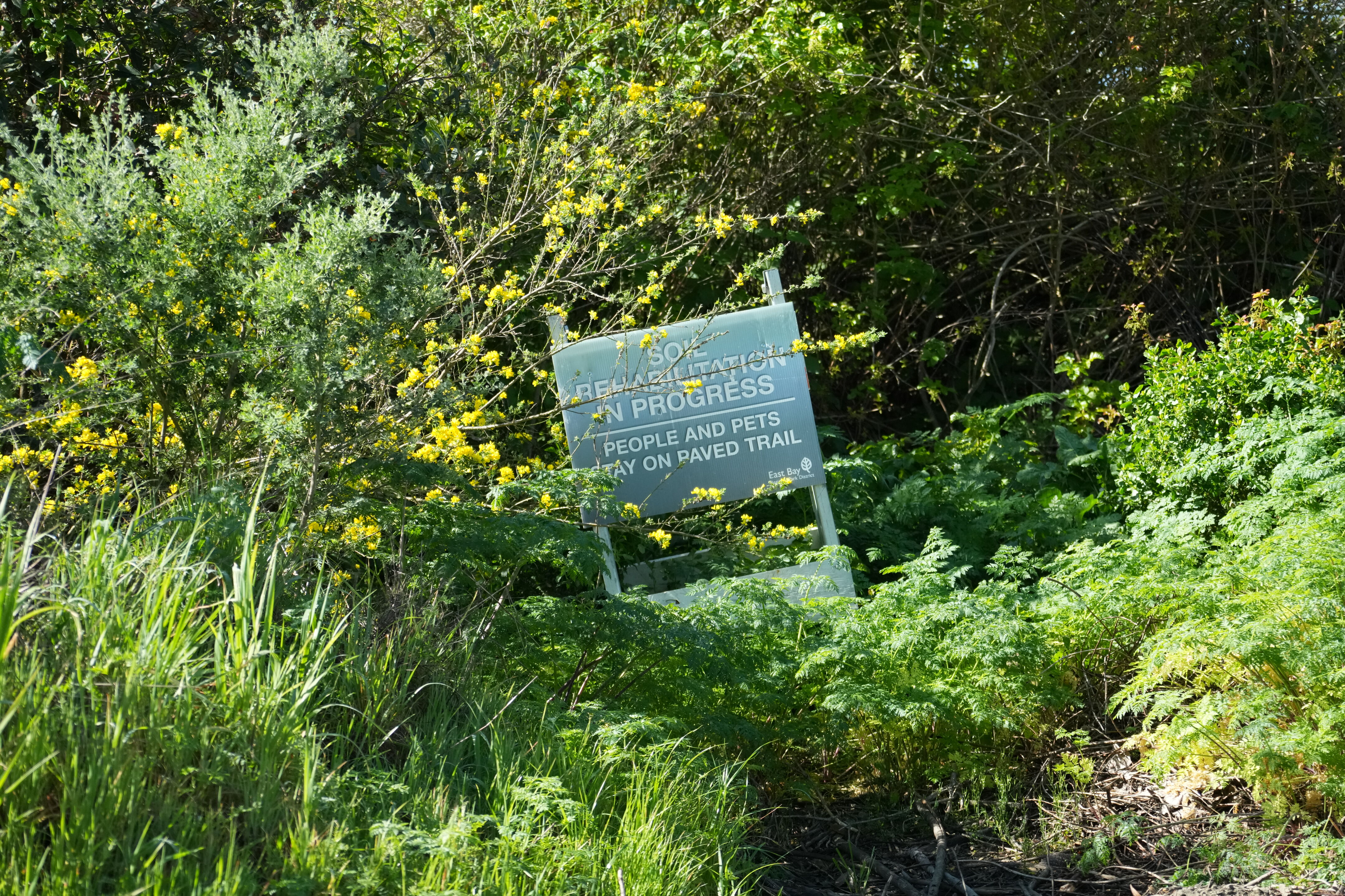 Wildcat Canyon Regional Park