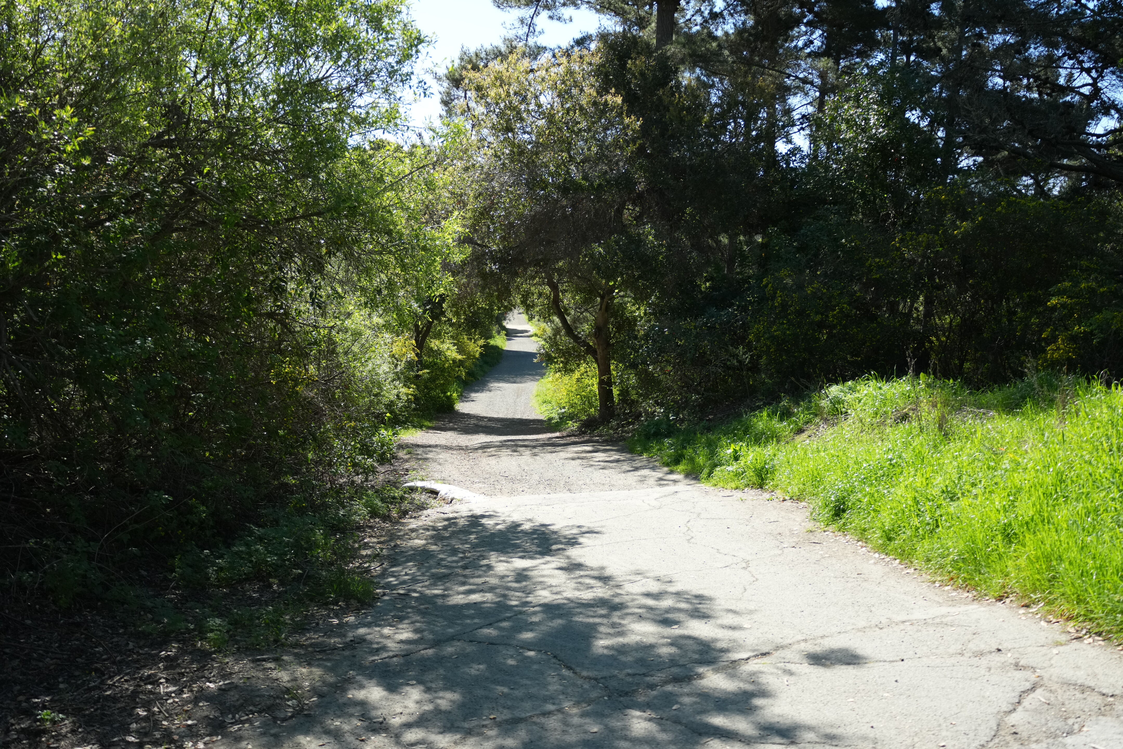 Wildcat Canyon Regional Park