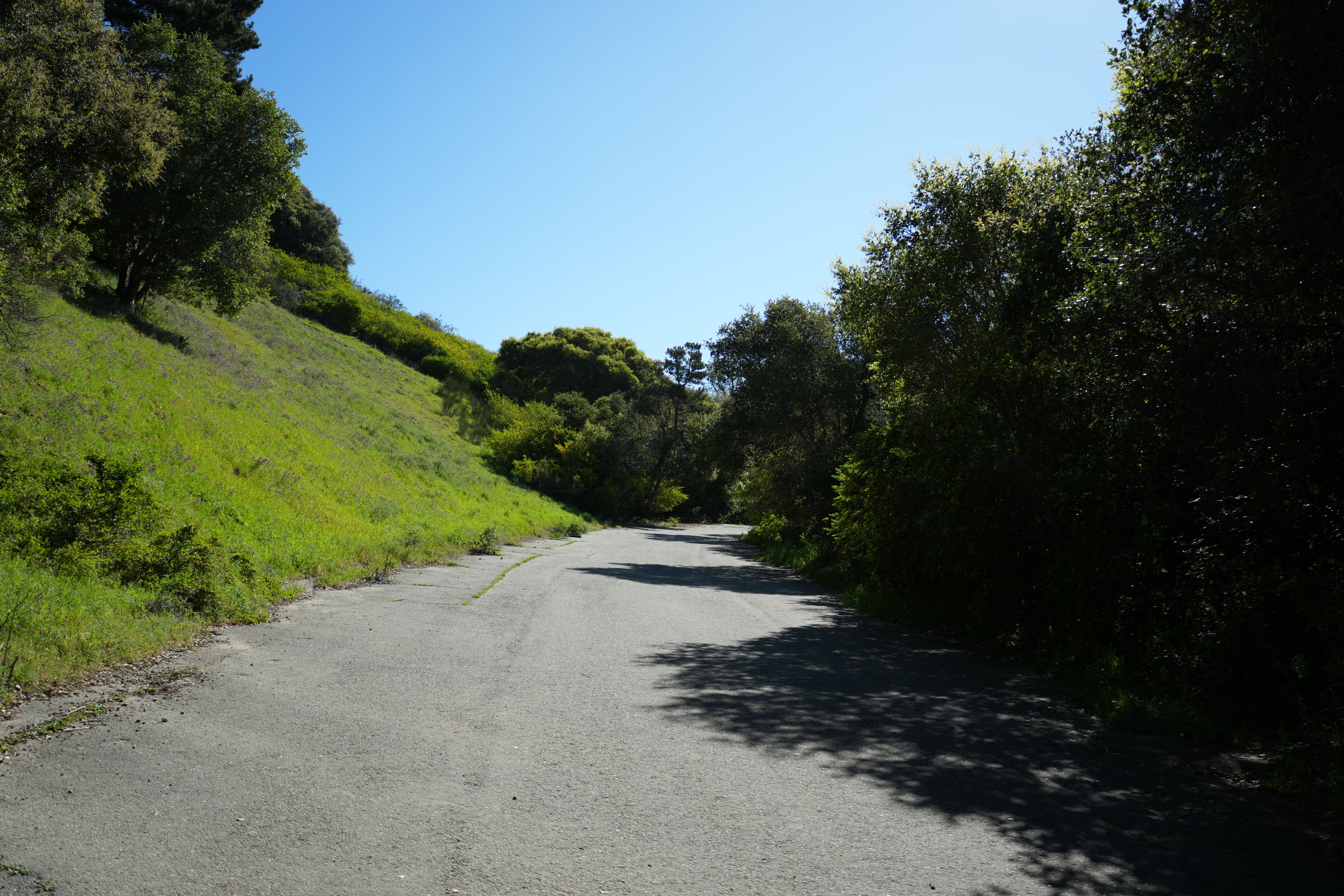 Wildcat Canyon Regional Park
