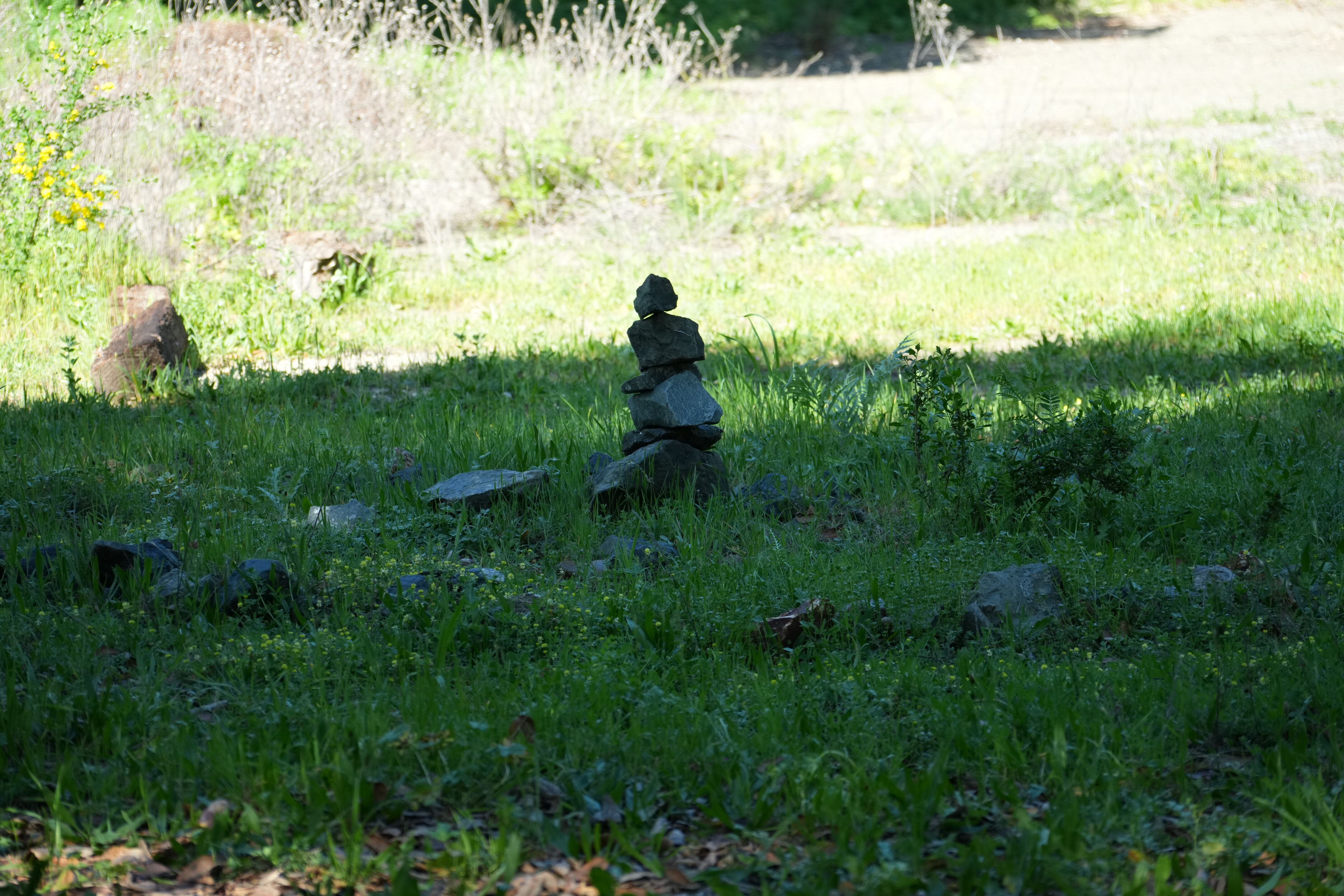 Wildcat Canyon Regional Park