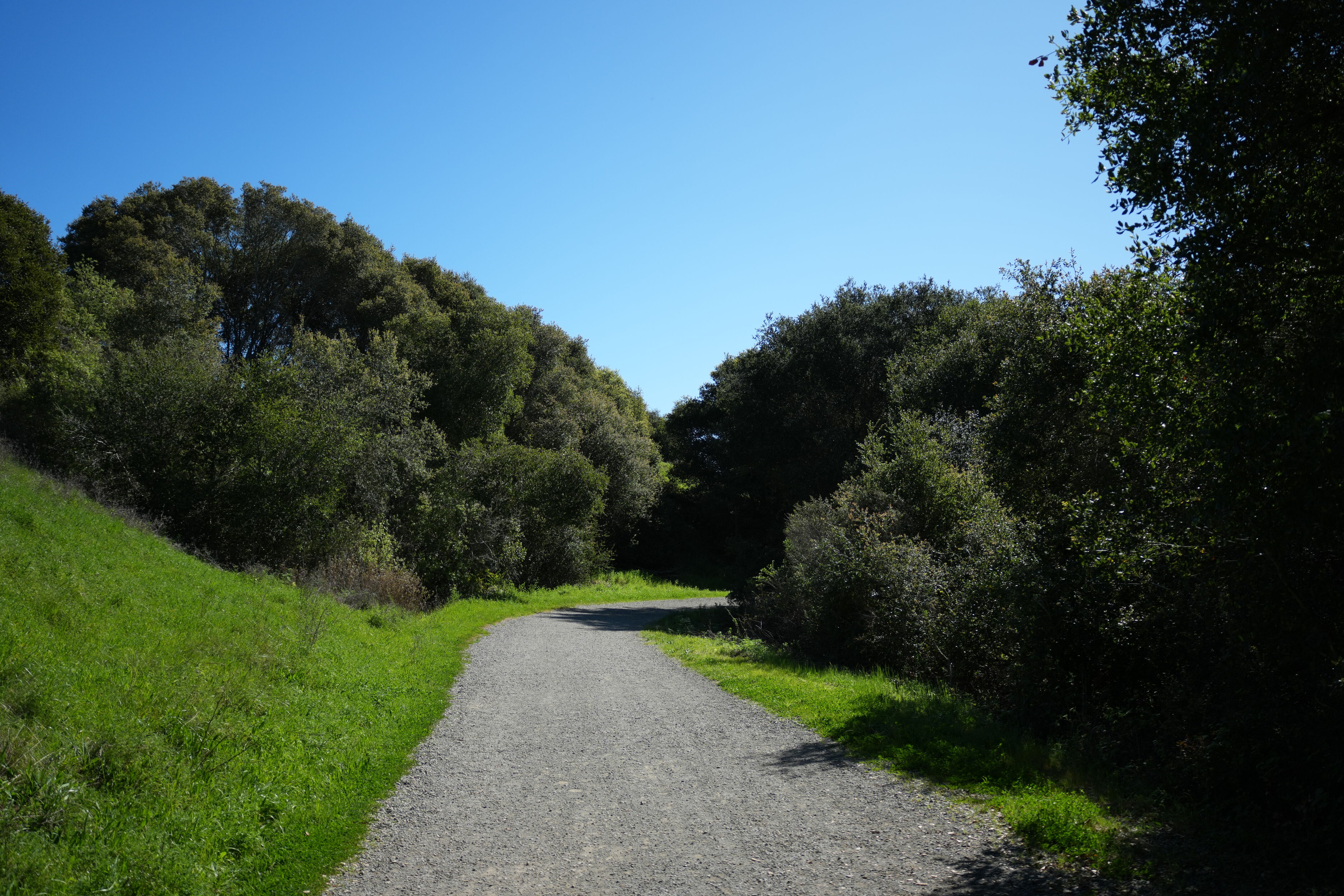 Wildcat Canyon Regional Park