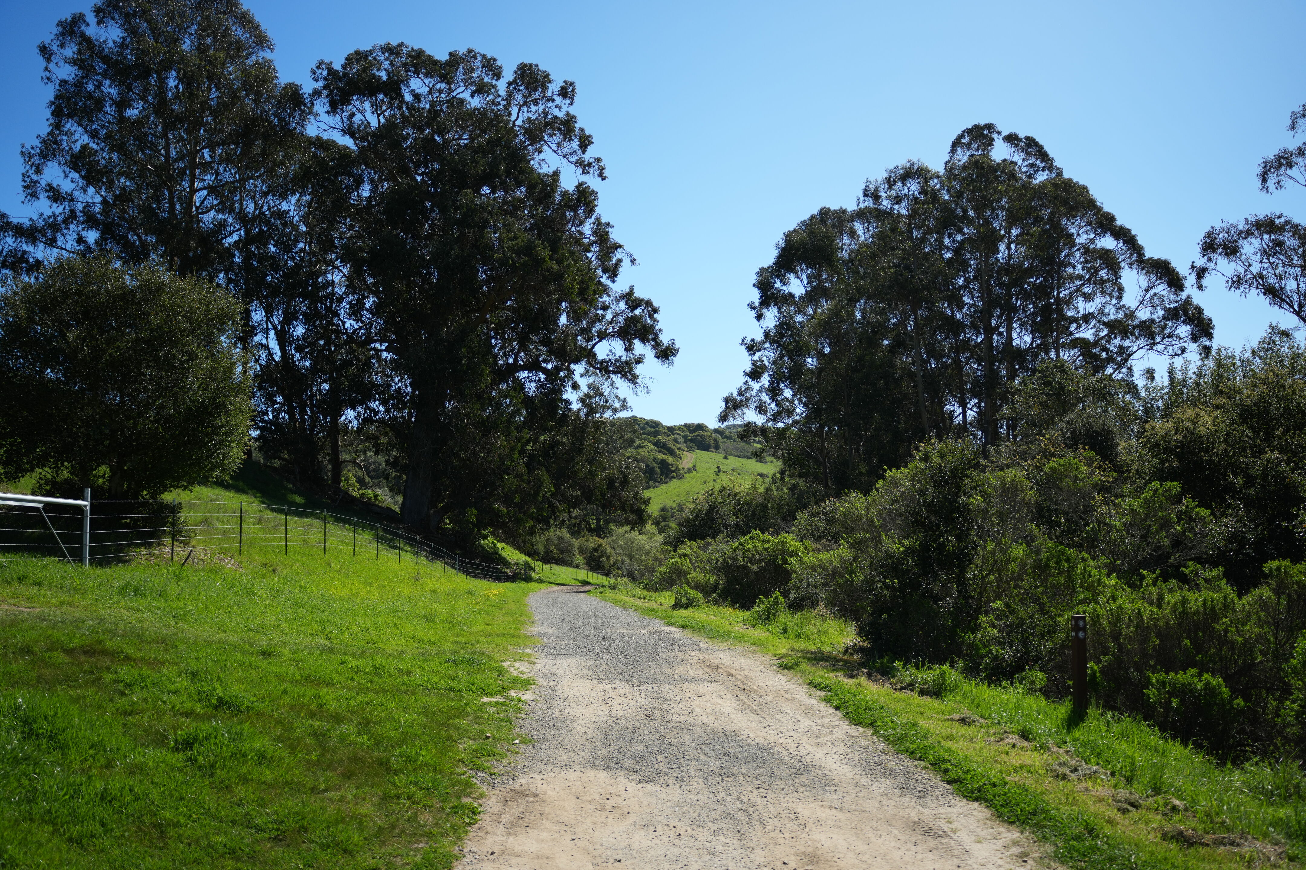 Wildcat Canyon Regional Park