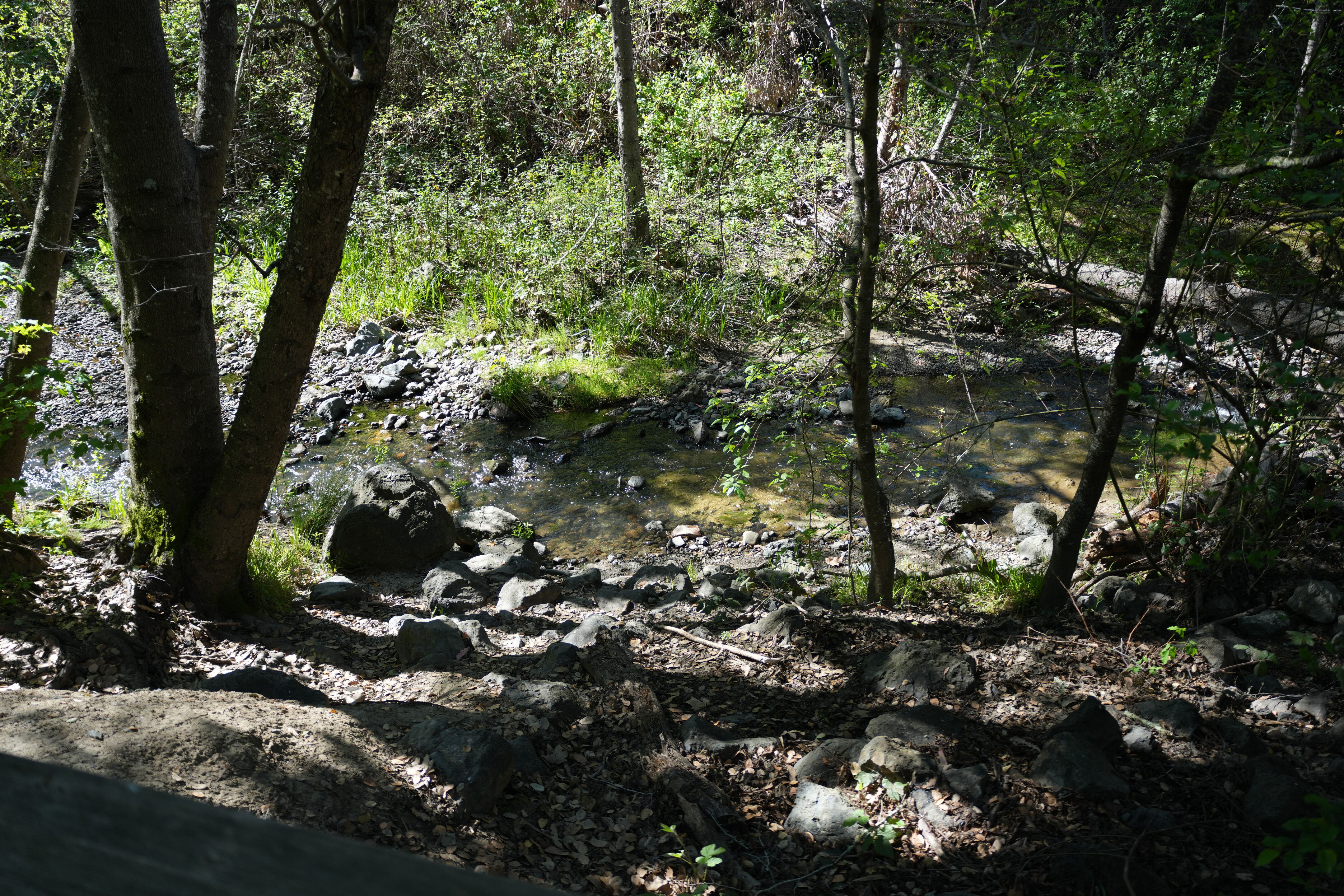 Wildcat Canyon Regional Park