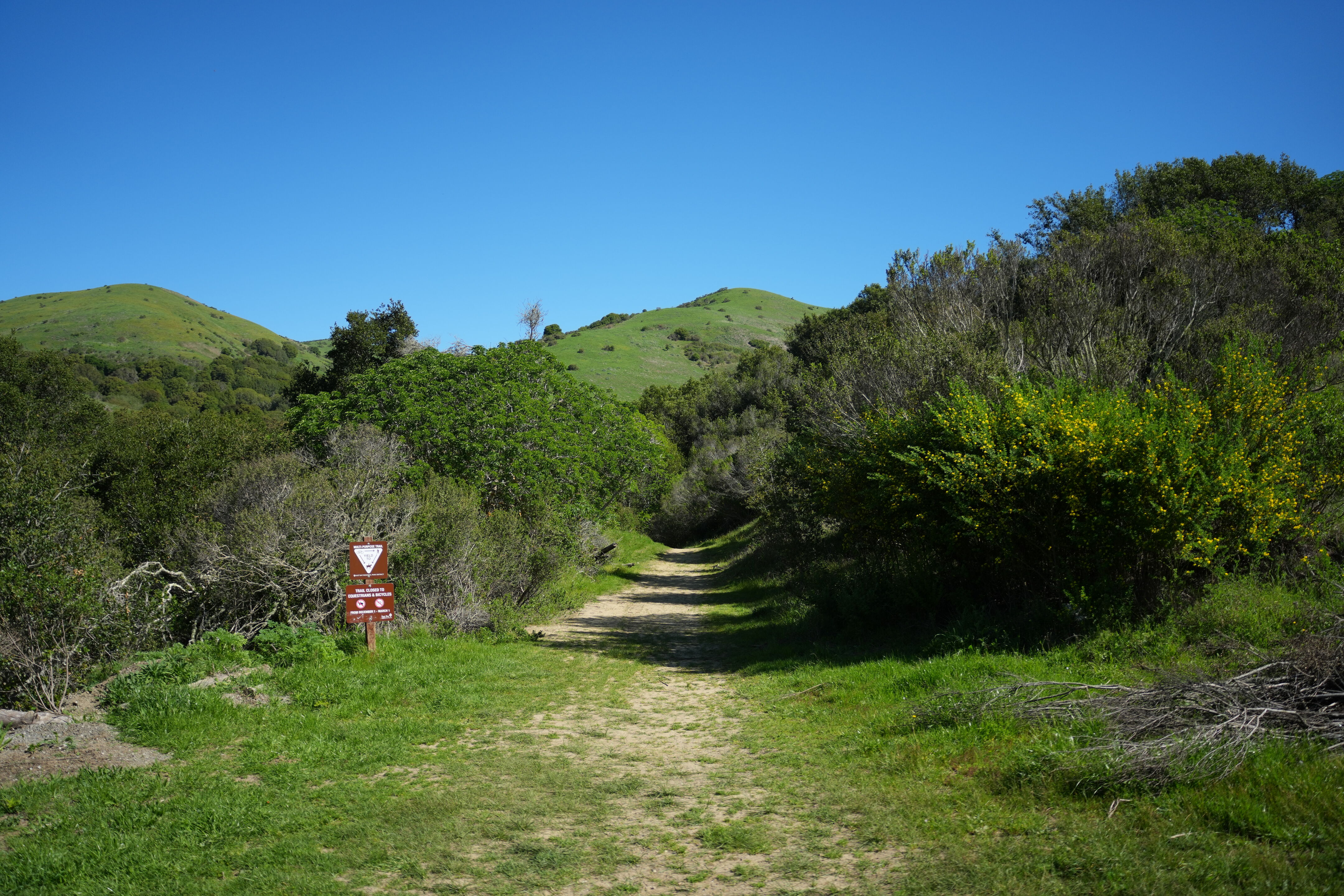 Wildcat Canyon Regional Park