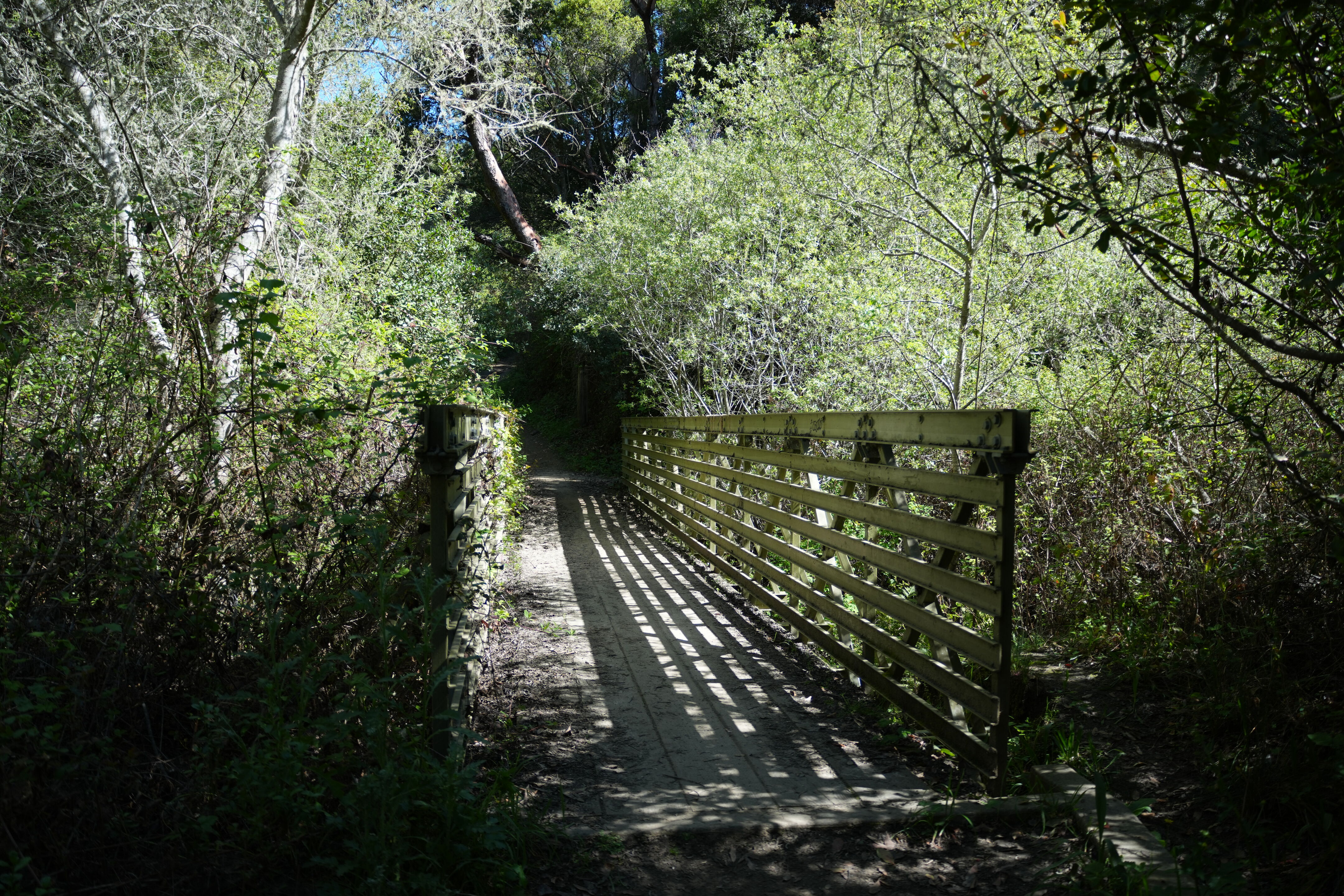 Wildcat Canyon Regional Park