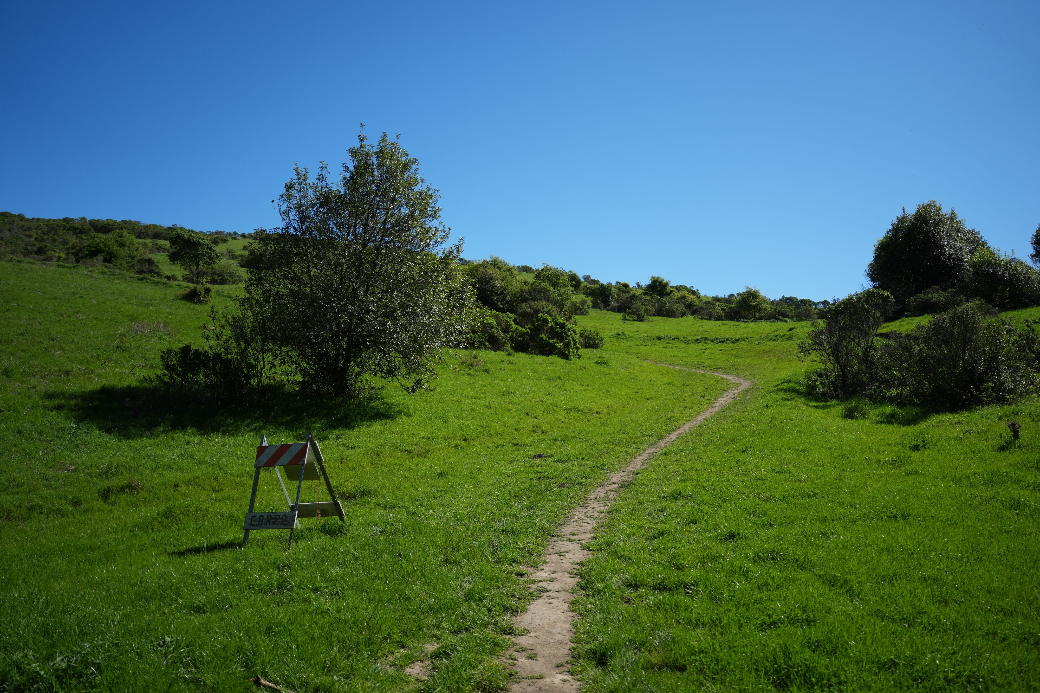 Wildcat Canyon Regional Park
