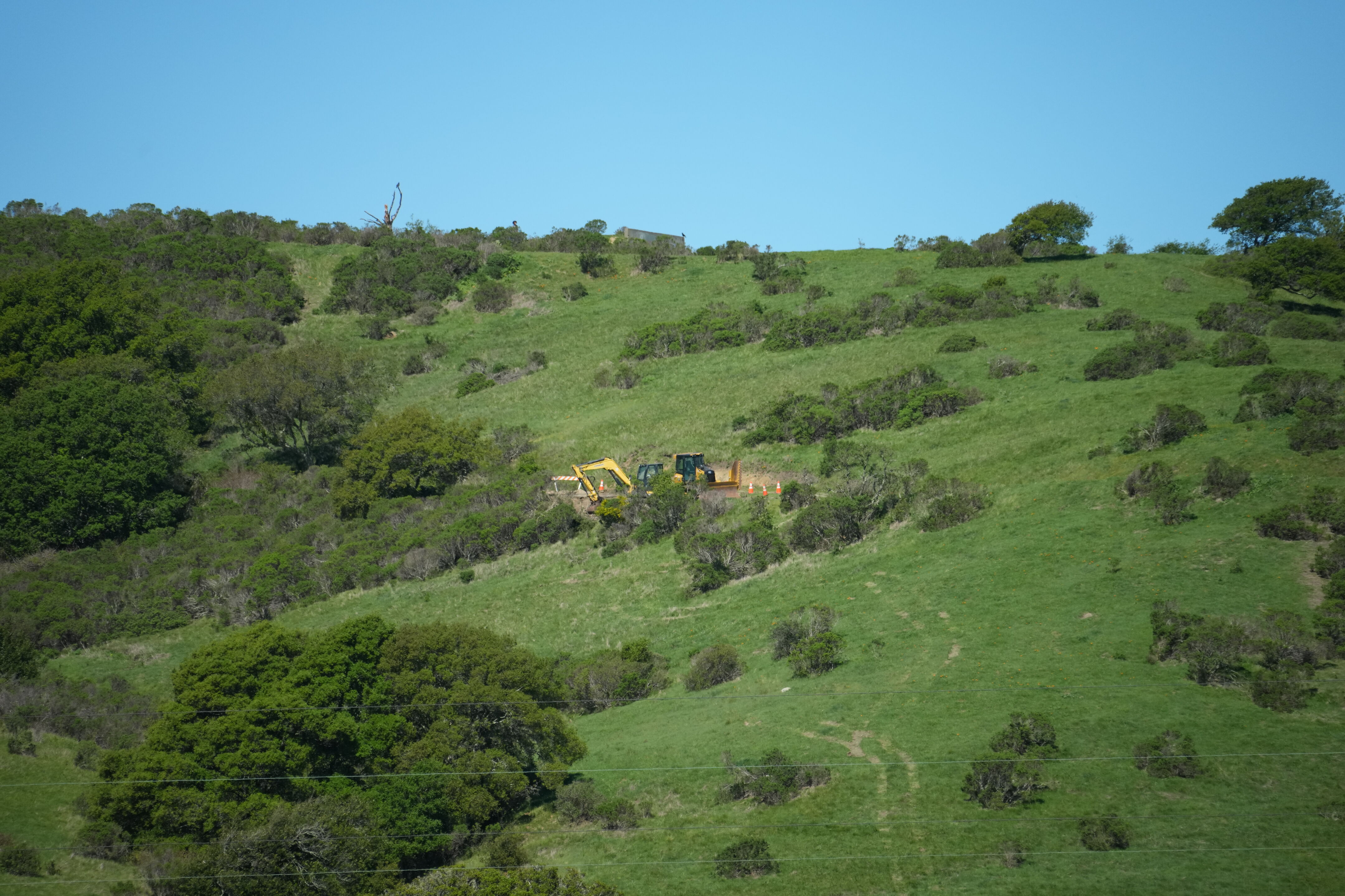 Wildcat Canyon Regional Park
