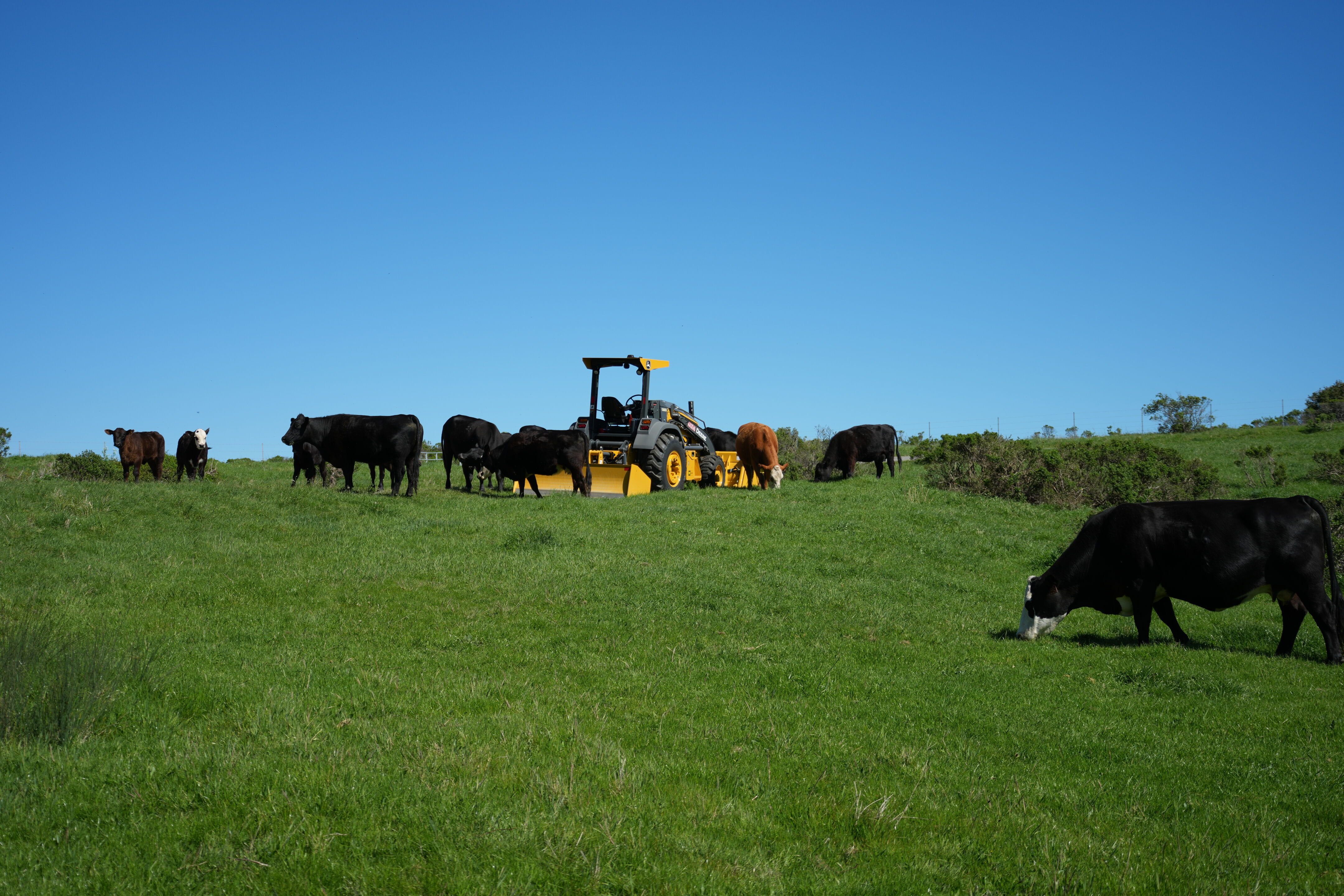 Wildcat Canyon Regional Park