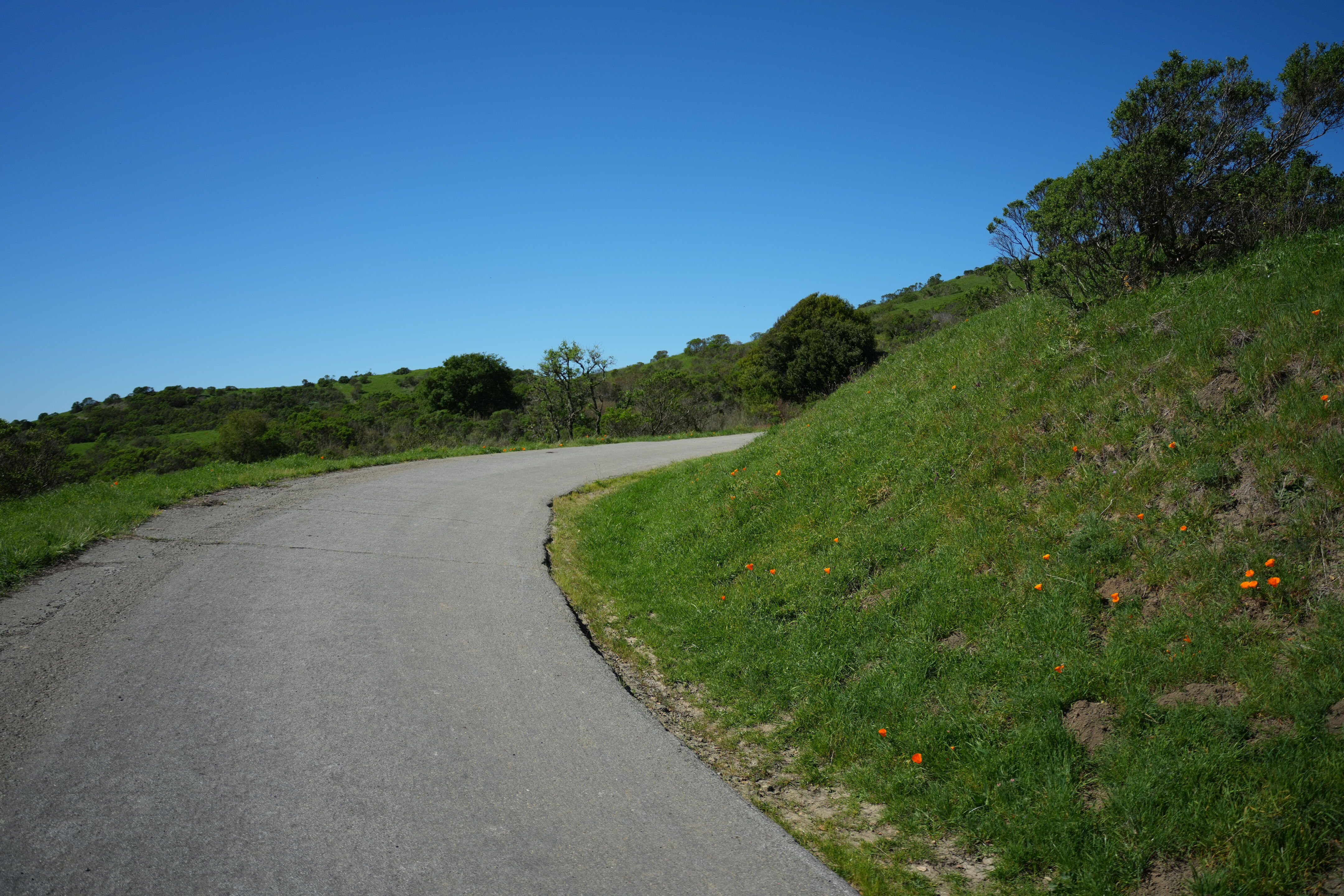 Wildcat Canyon Regional Park