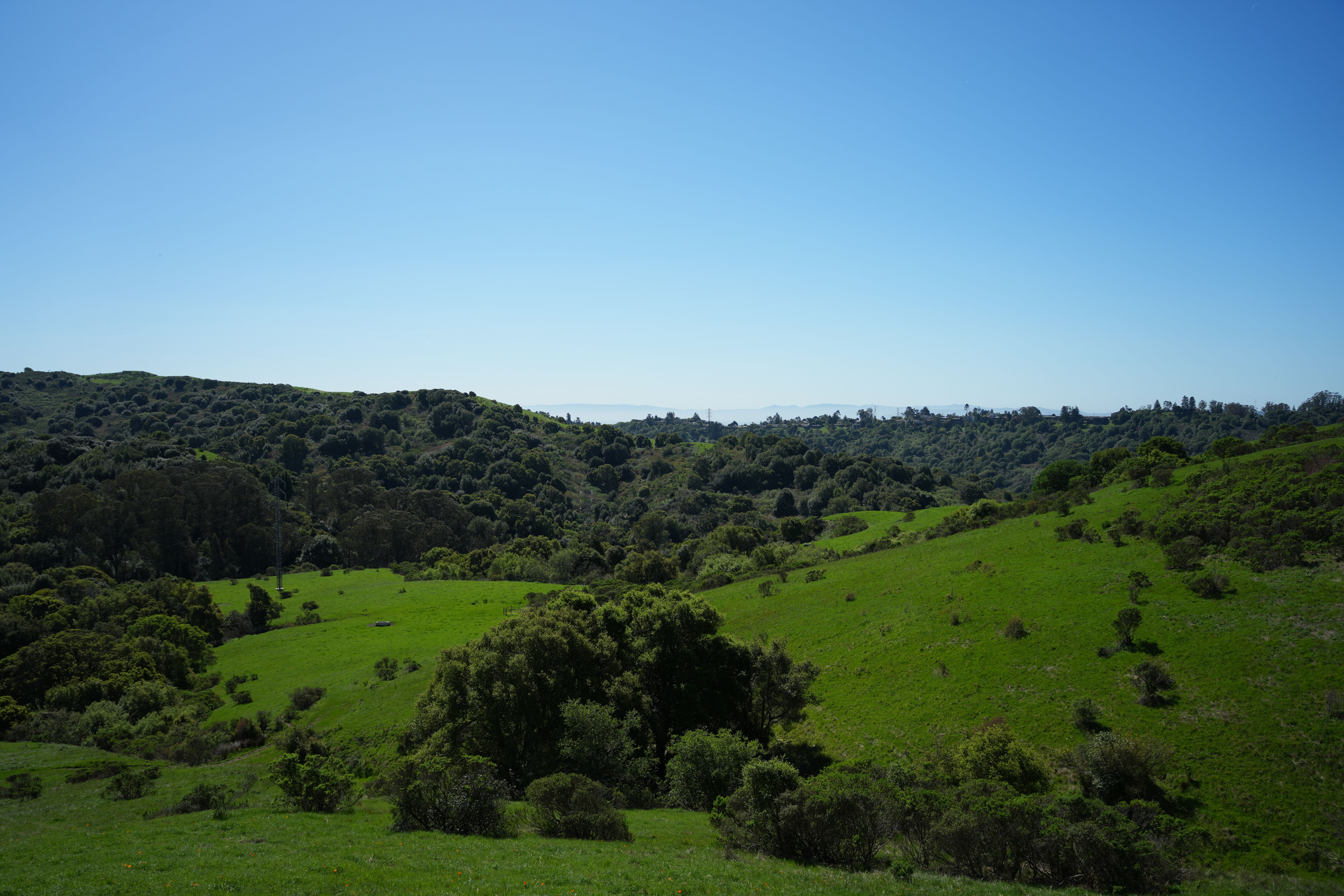 Wildcat Canyon Regional Park