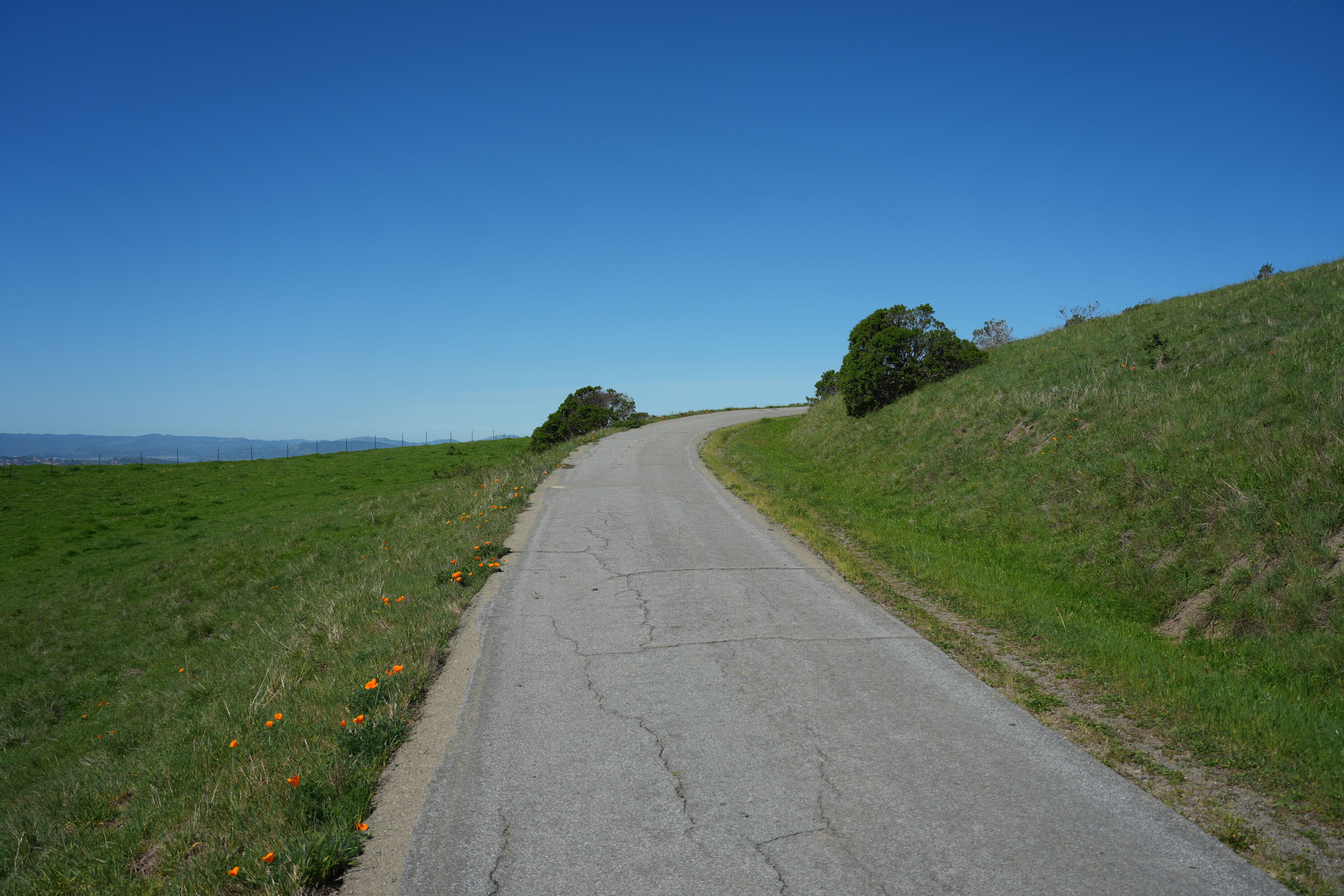Wildcat Canyon Regional Park