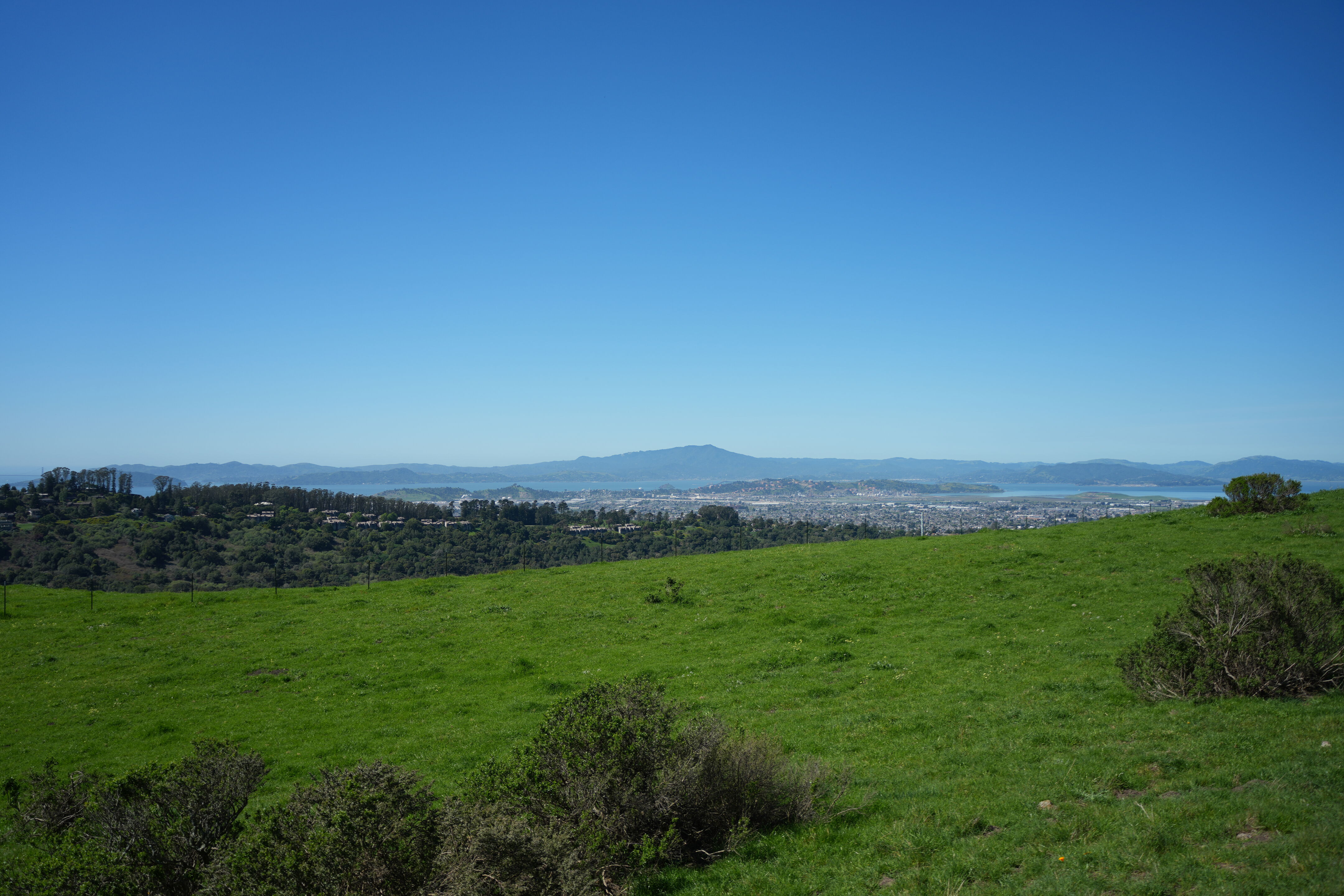 Wildcat Canyon Regional Park